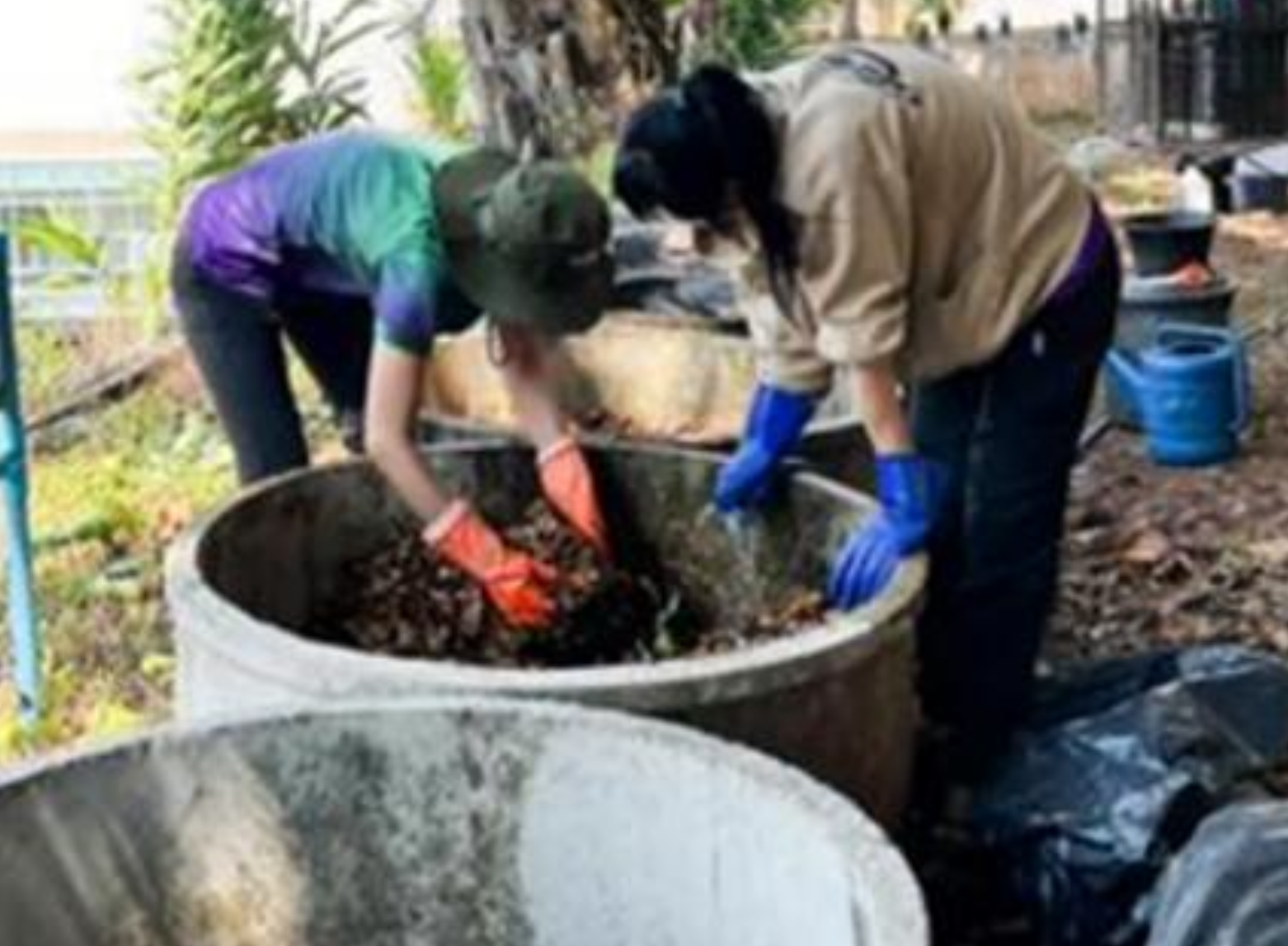 University staff participating in the Great and Green leaf composting campaign