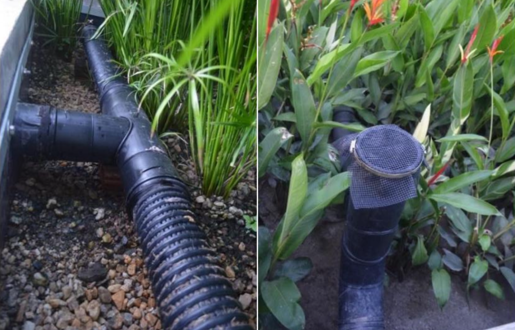 Wastewater treatment system that mimics natural processes