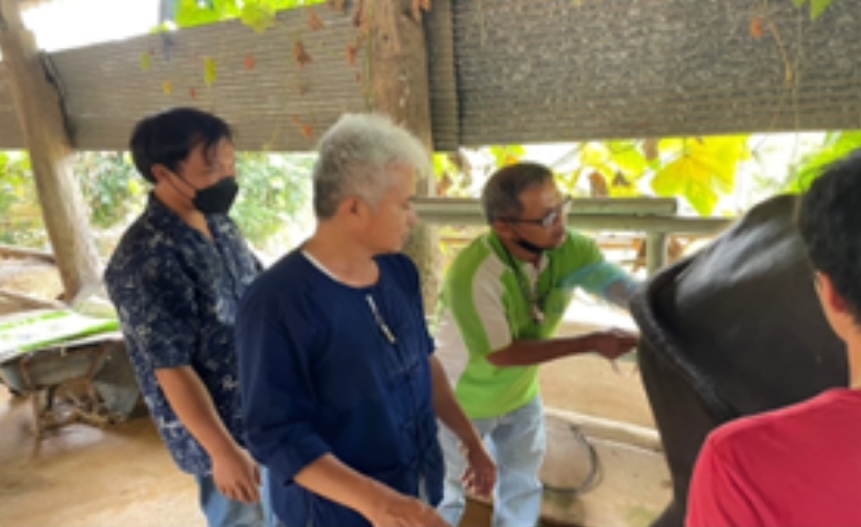 Buffalo farmers community network, University of Phayao