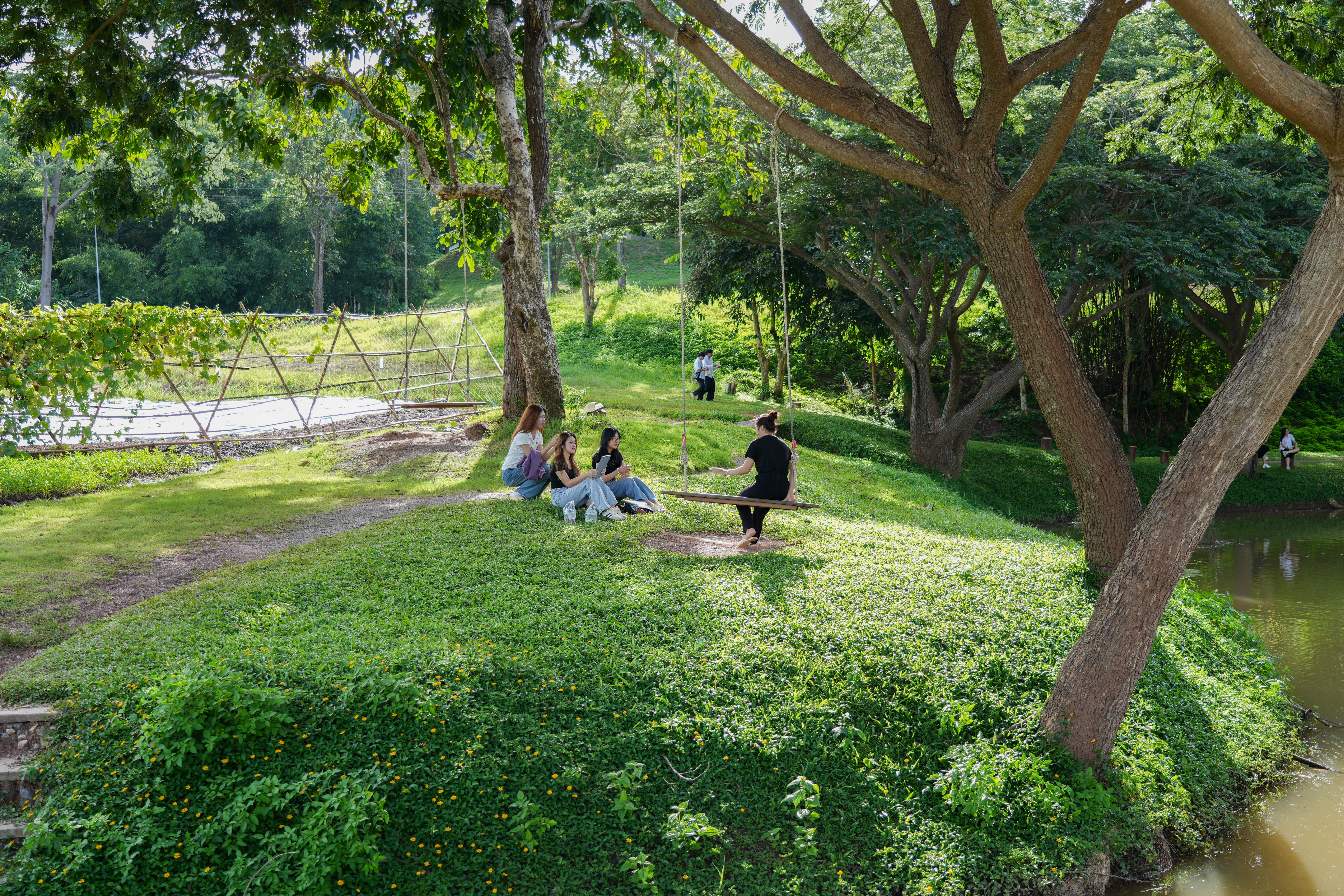 Phayao Campus scenery