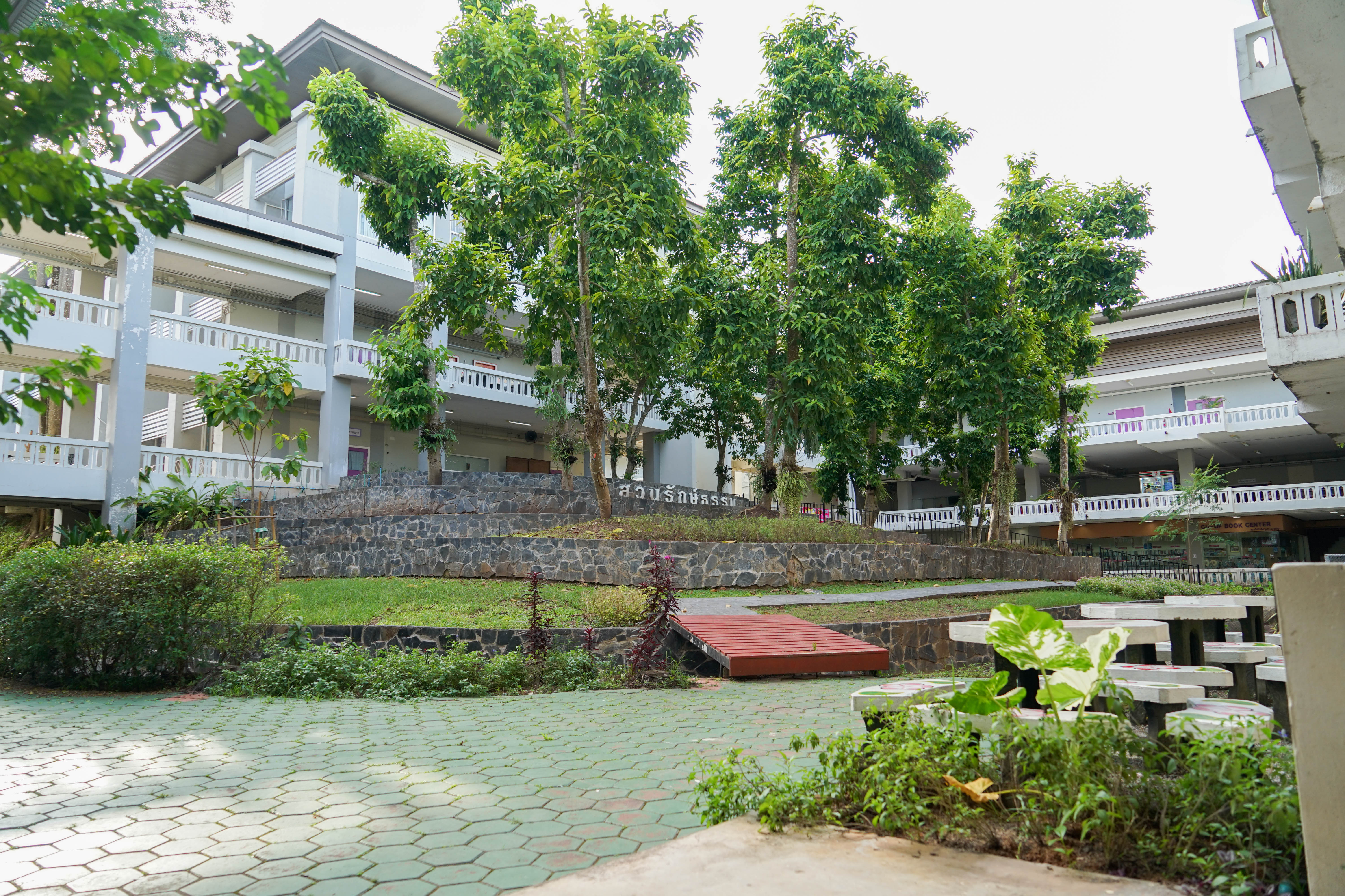 Courtyard garden with trees