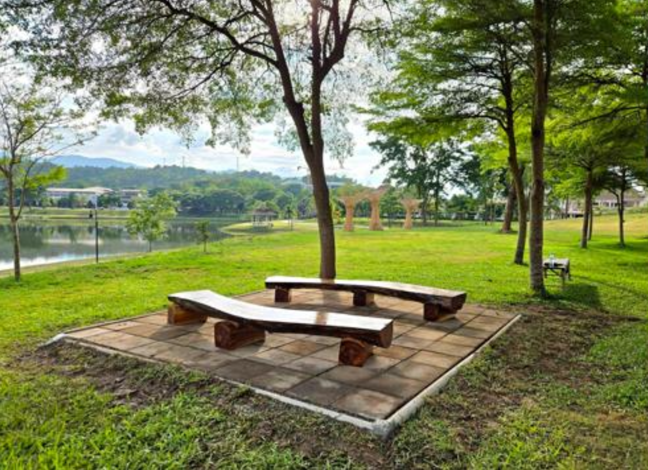 Shared learning space with benches under large trees