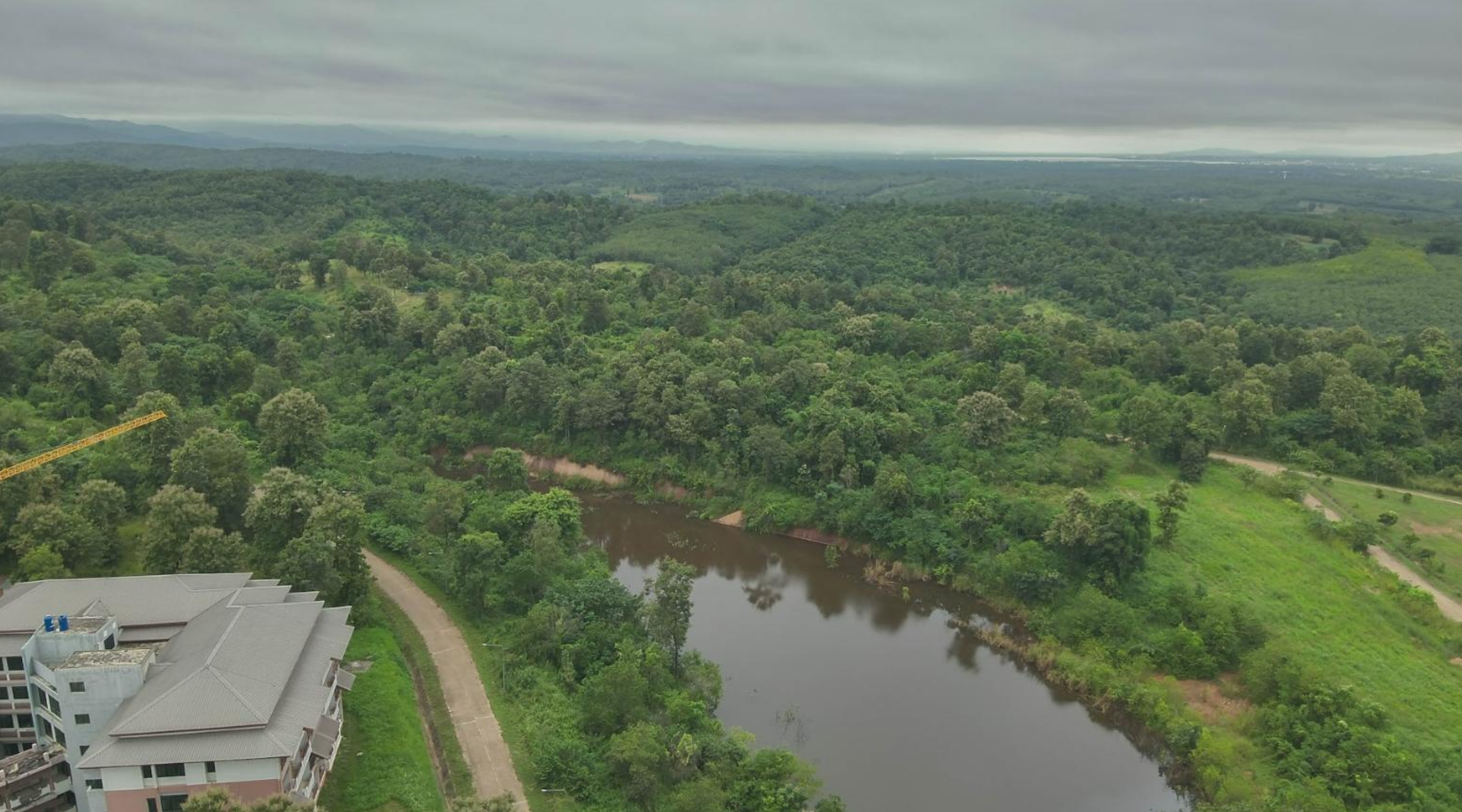 Total area on University of Phayao Phayao Campus covered in forest vegetation