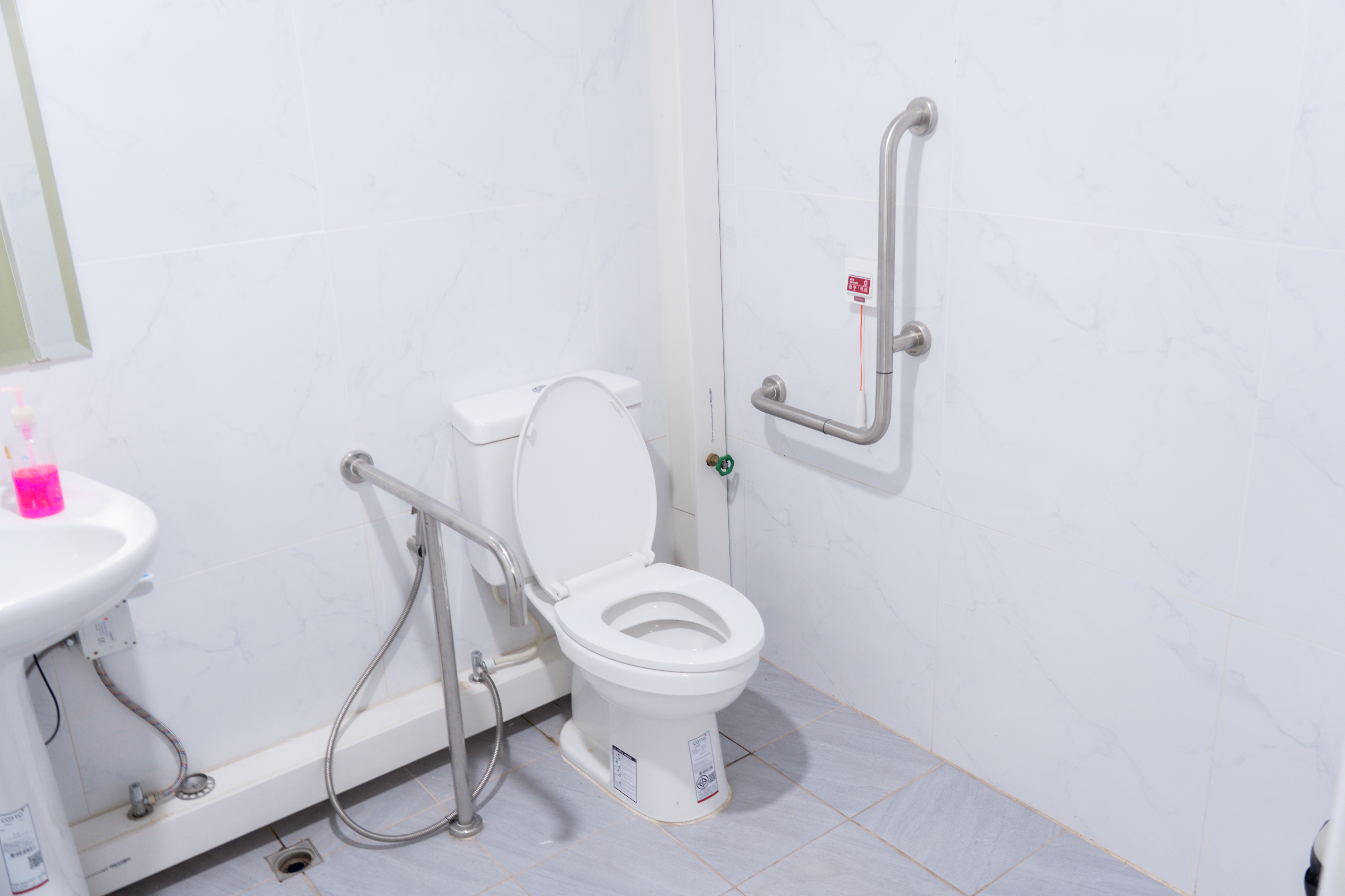 Accessible toilet with grab bars
