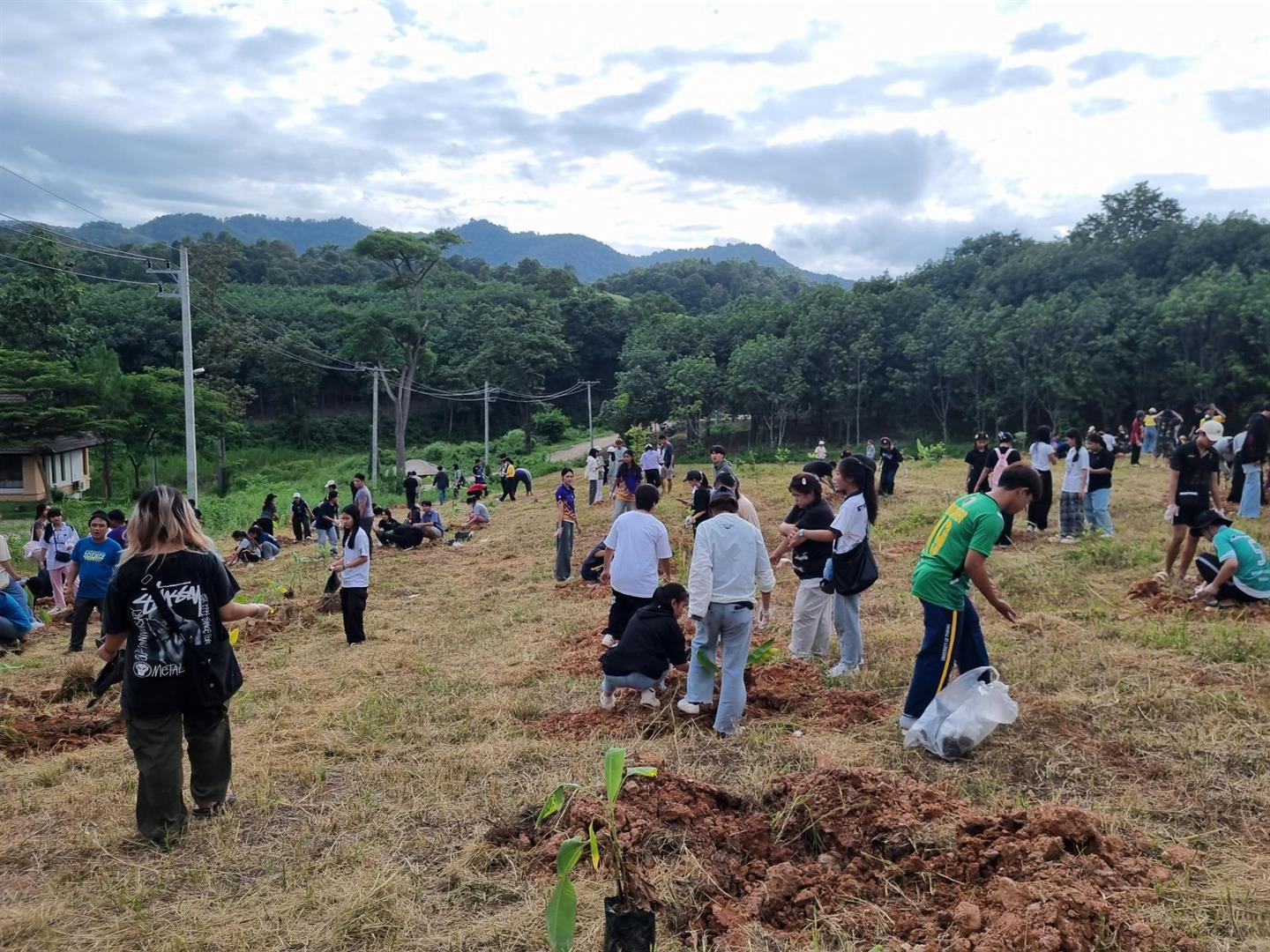 Demonstration School students tree planting, University of Phayao