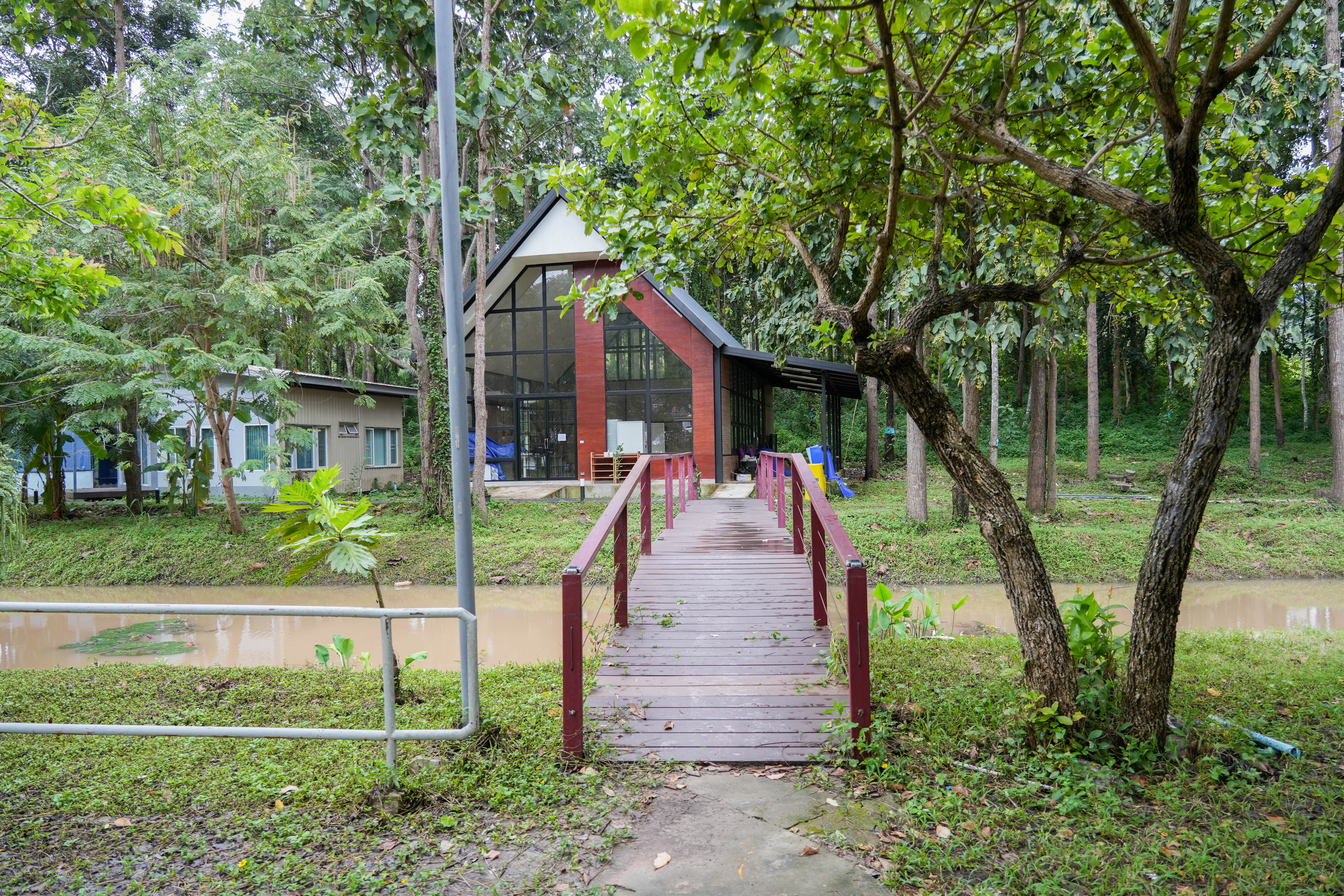 Wooden bridge to forest pavilion