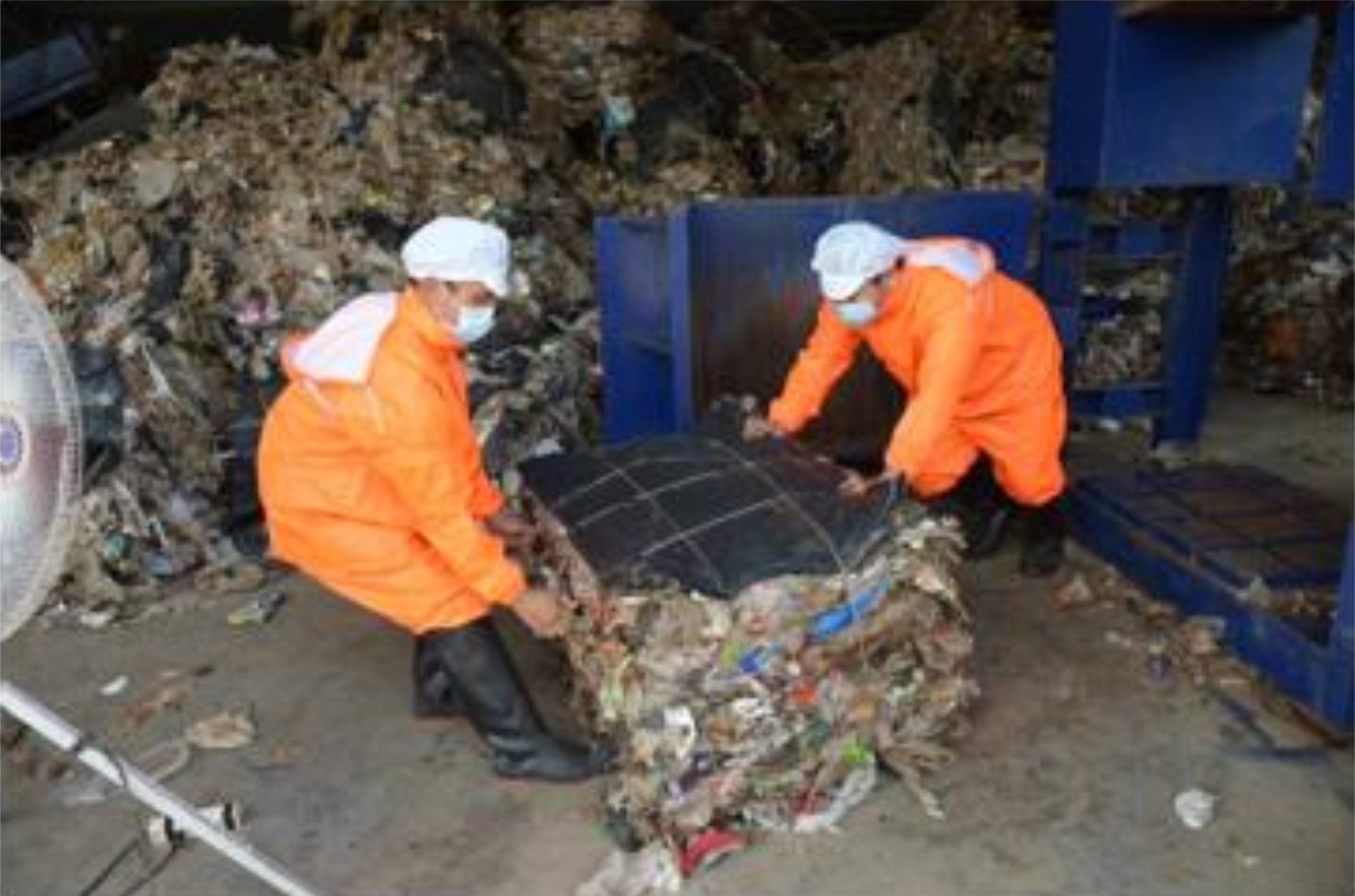 Workers sorting waste on conveyor