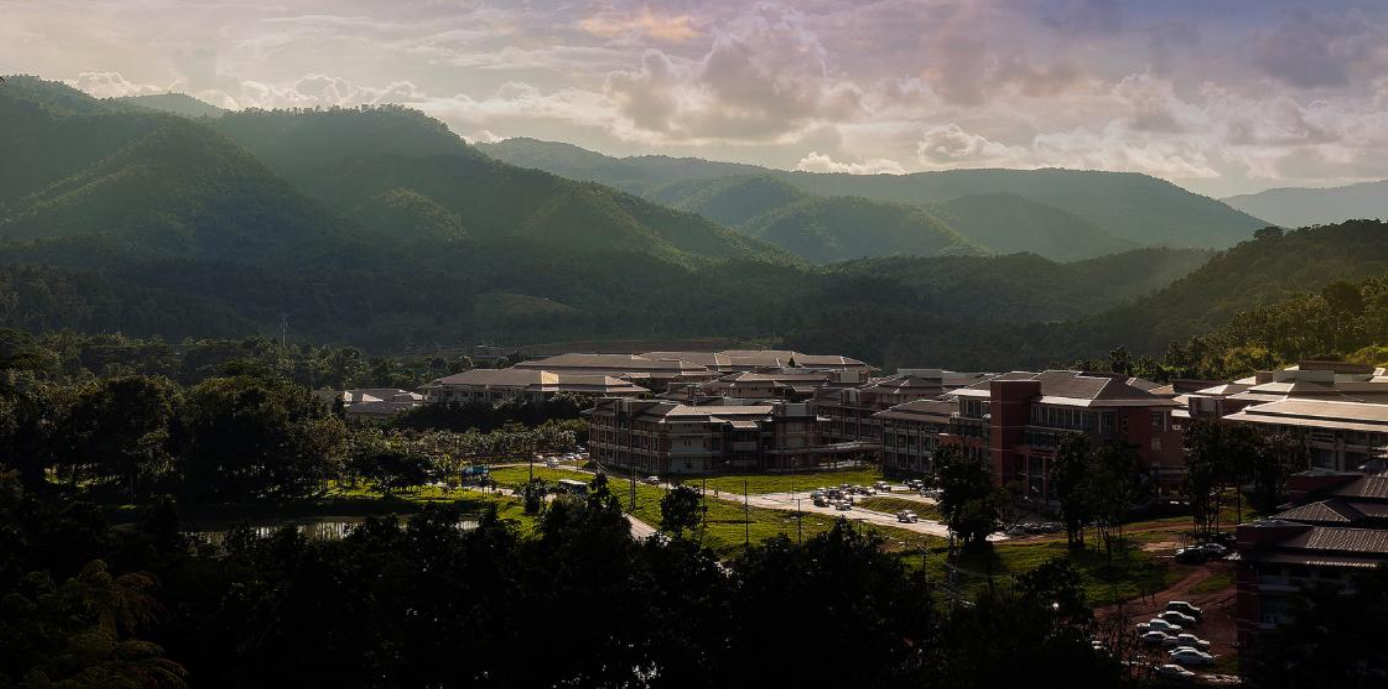 Total area on University of Phayao Phayao Campus covered in forest vegetation