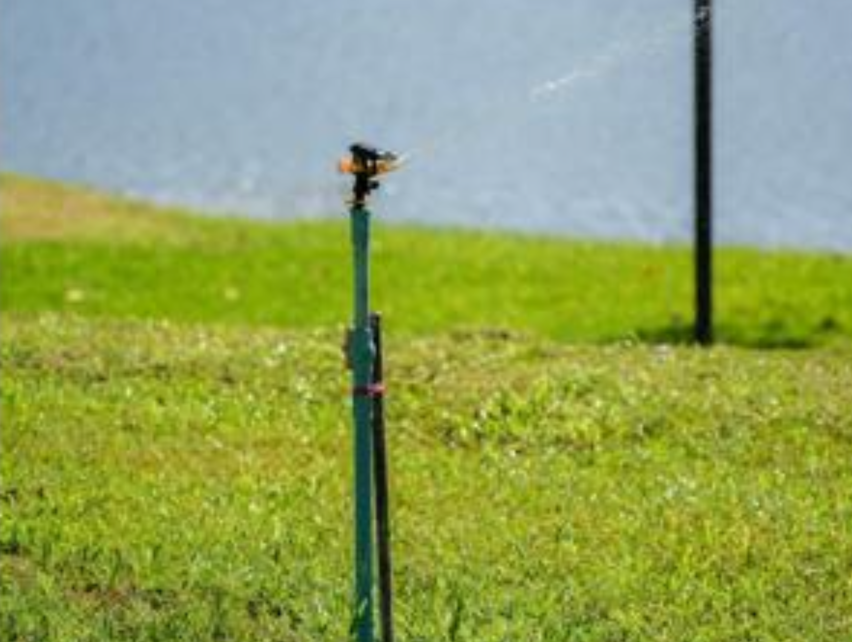 Sprinkler watering the lawn near the campus lake