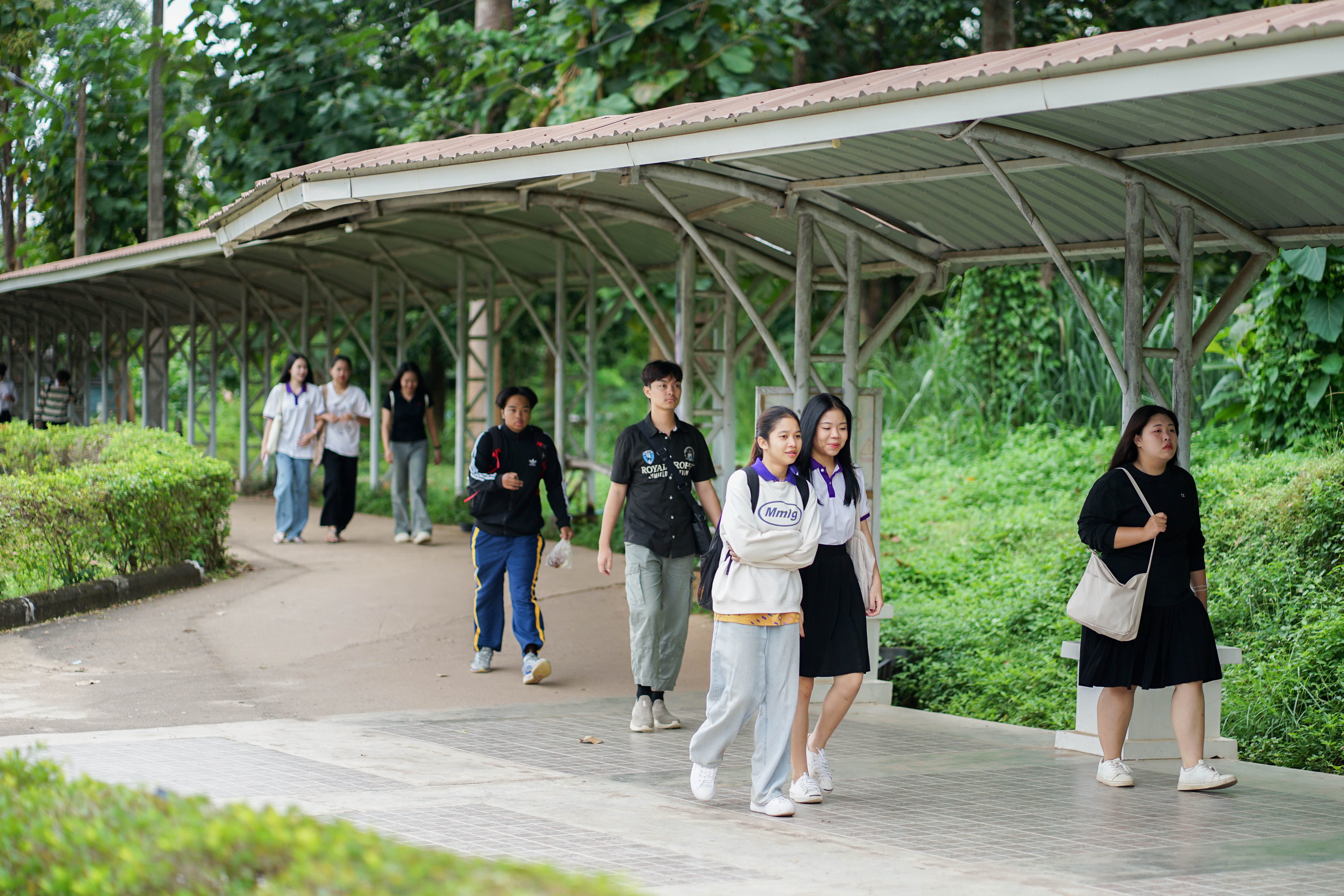 Pedestrian Path Policy on Campus