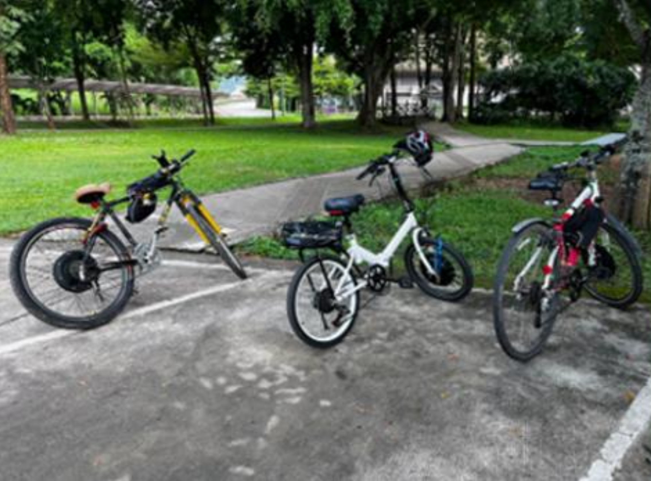 Parked bicycles for rent on campus