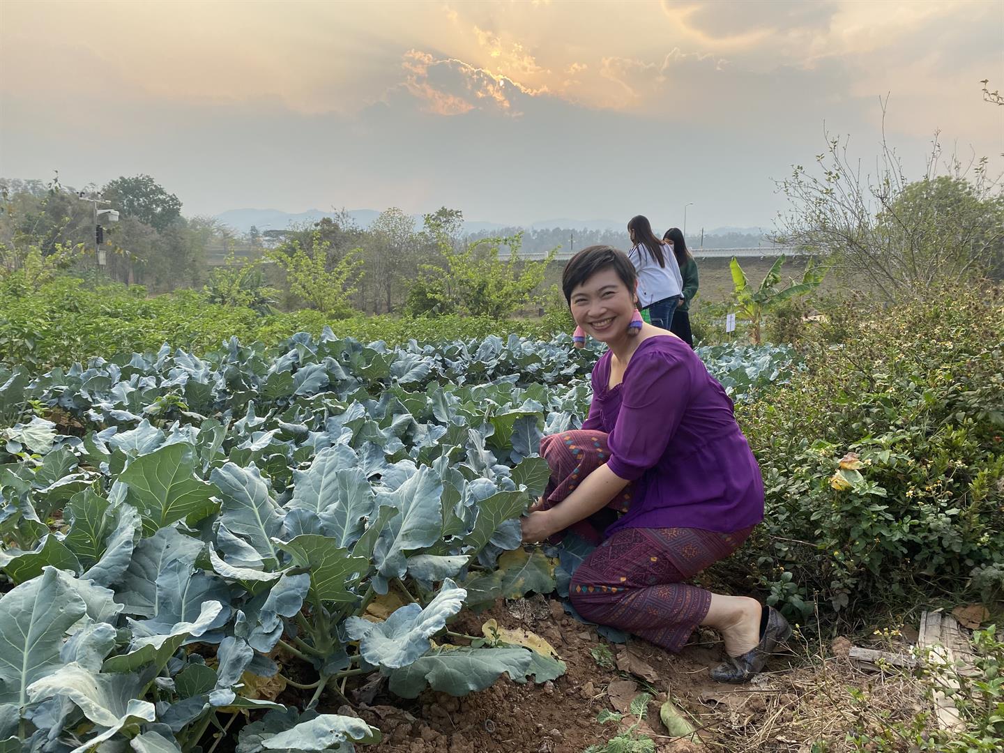 Vegetable picking activity at Sufficiency Economy Learning Center, University of Phayao