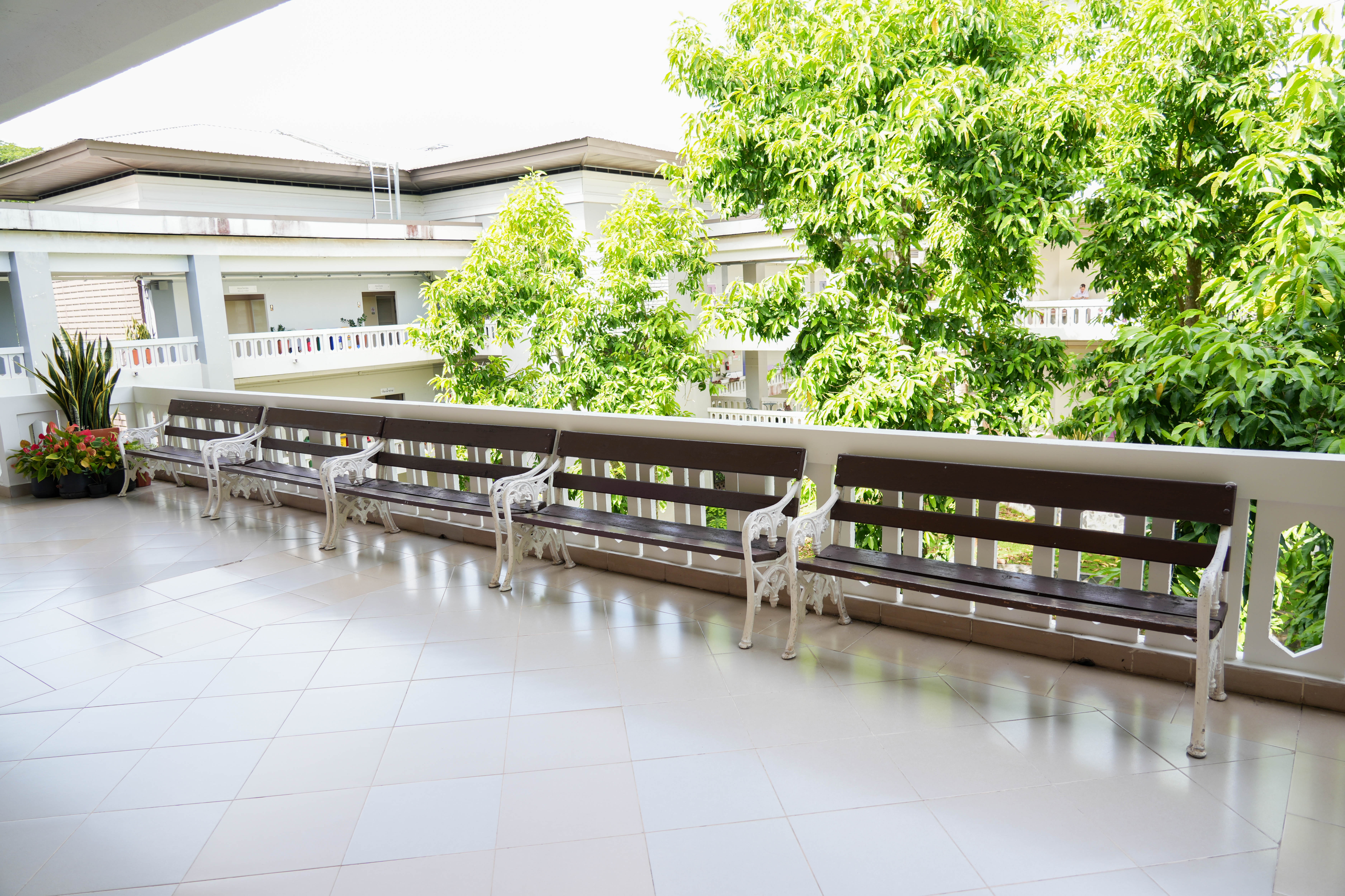 Students studying in a naturally ventilated open corridor, University of Phayao