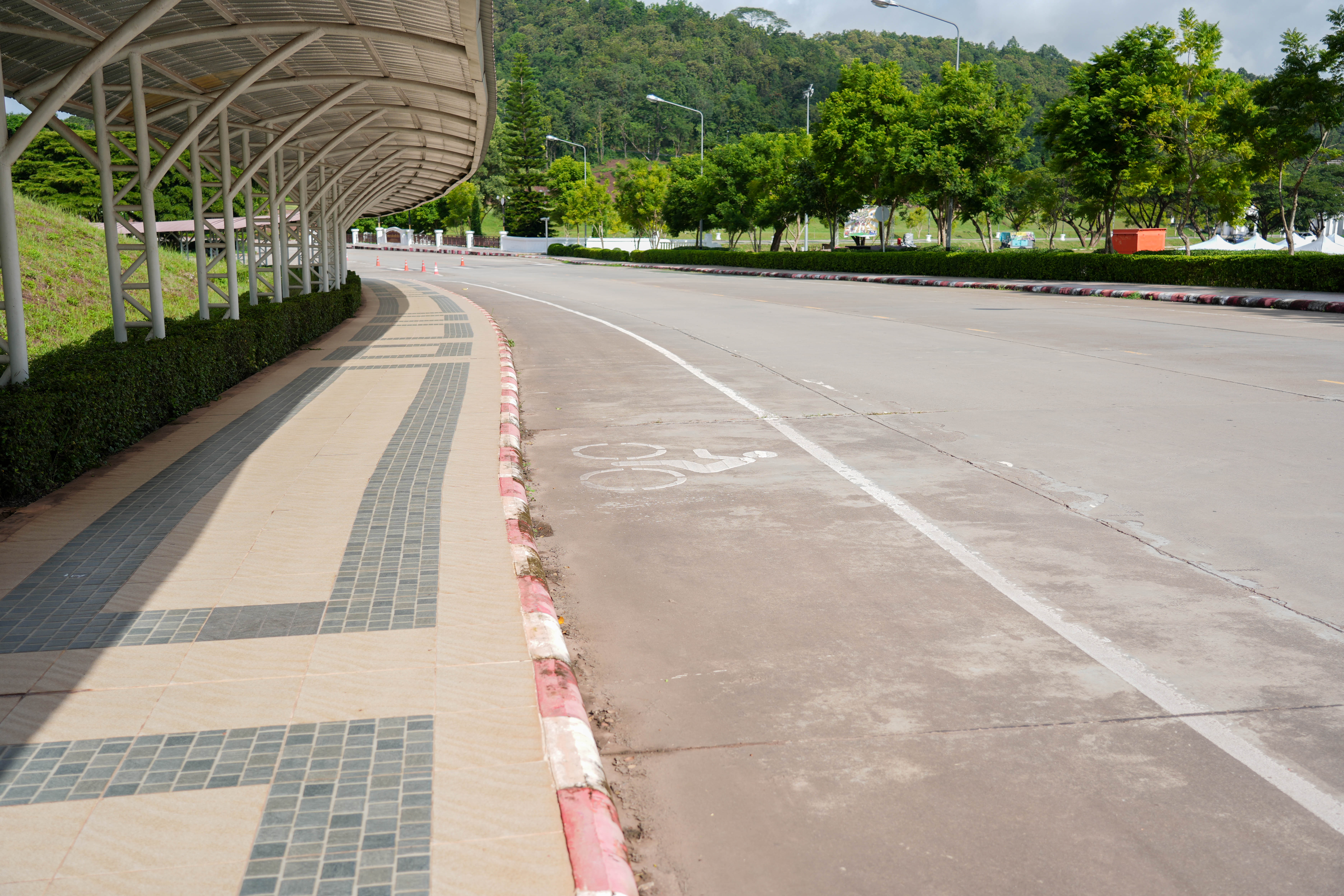 Bicycle lane on campus road, University of Phayao