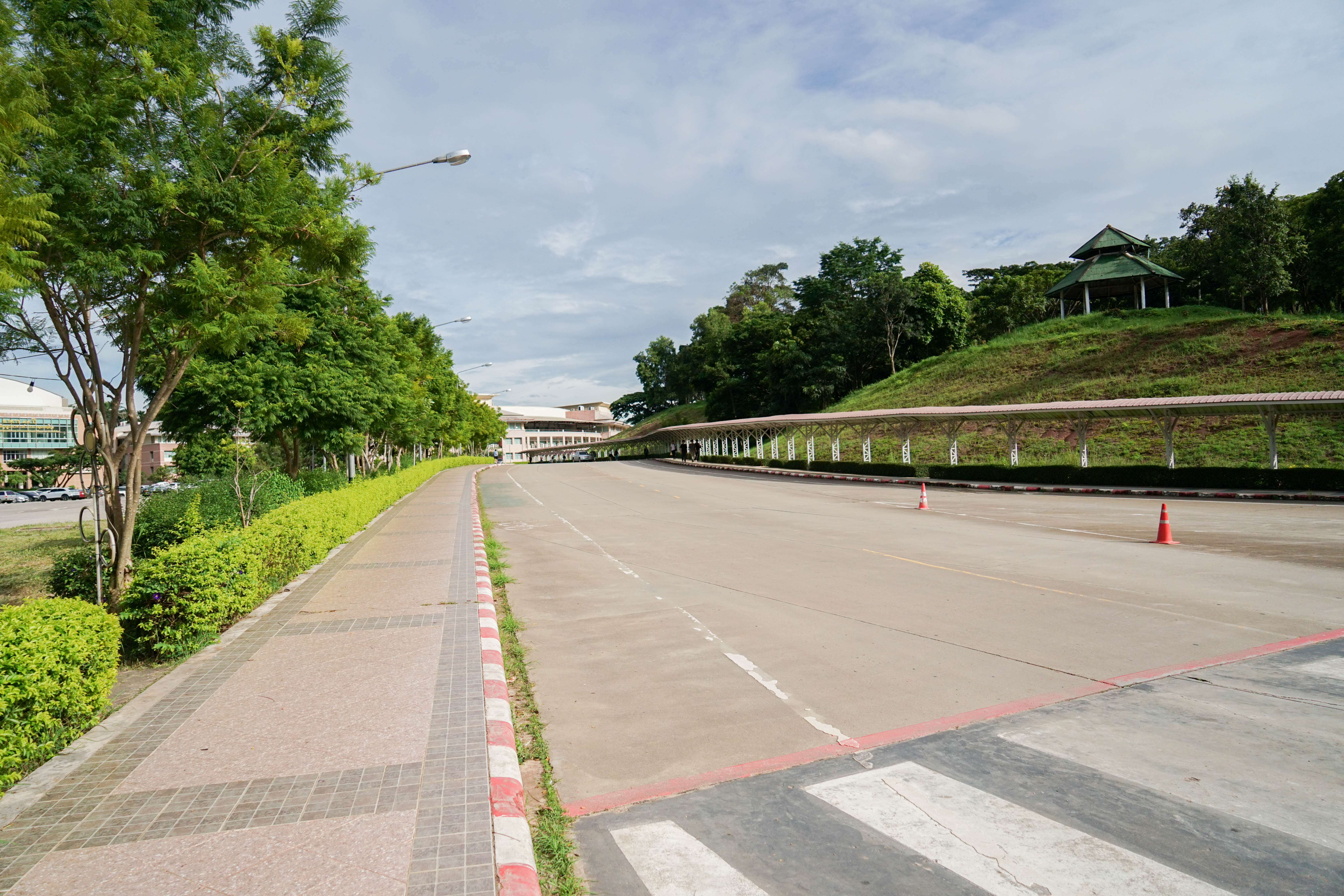 No-parking area campus road