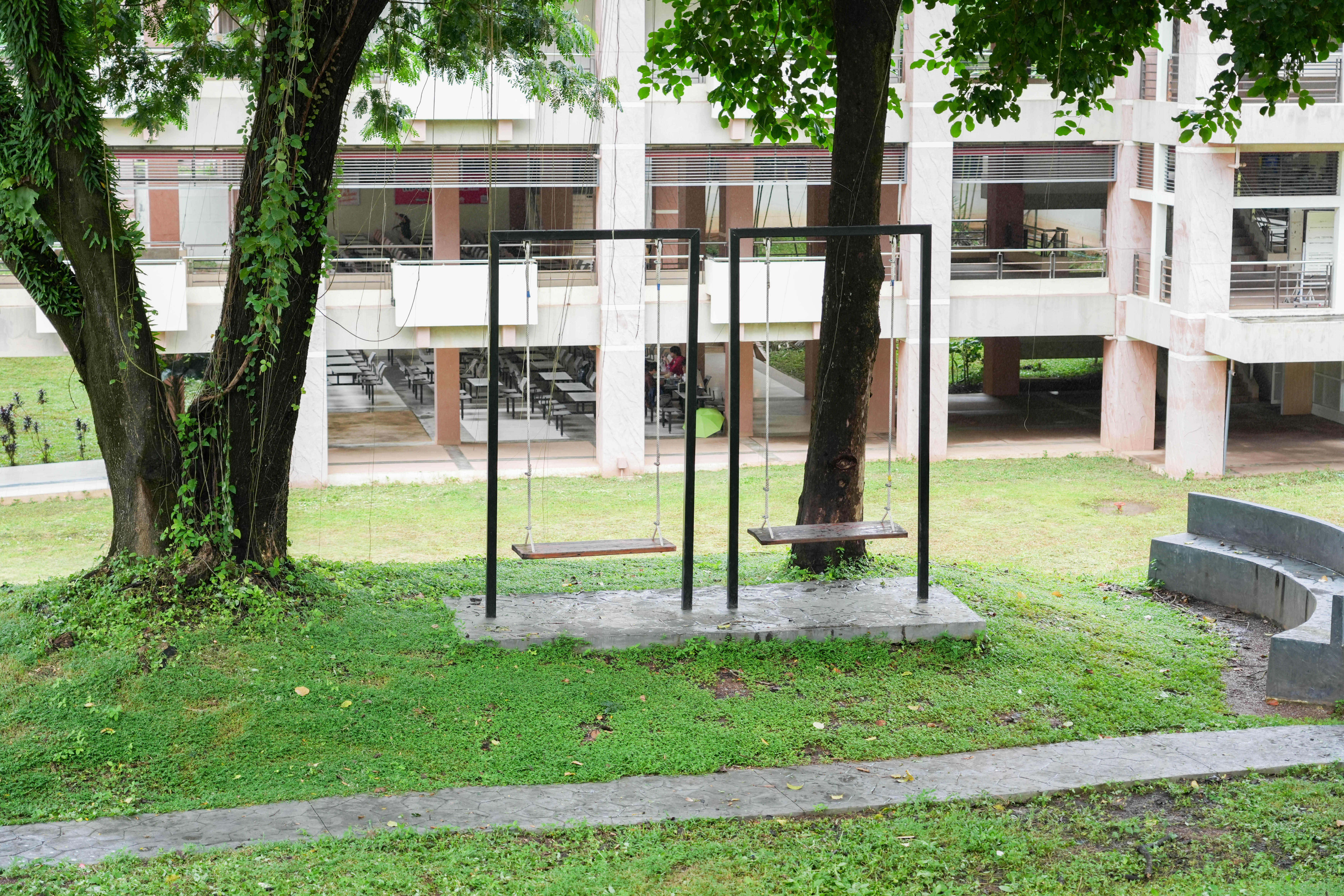 Tree swing made from a reused broken chair