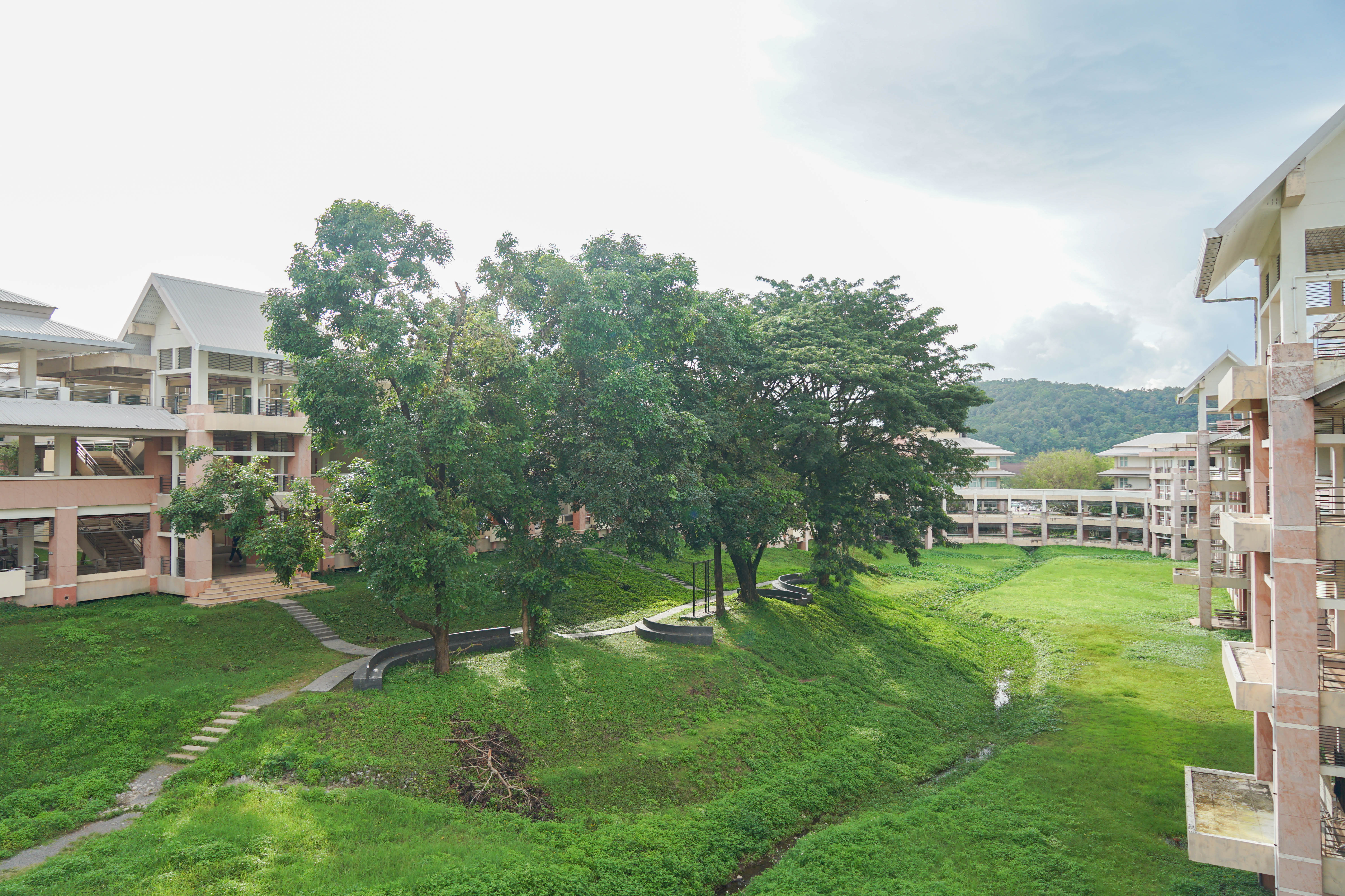 Open space area, Phayao campus