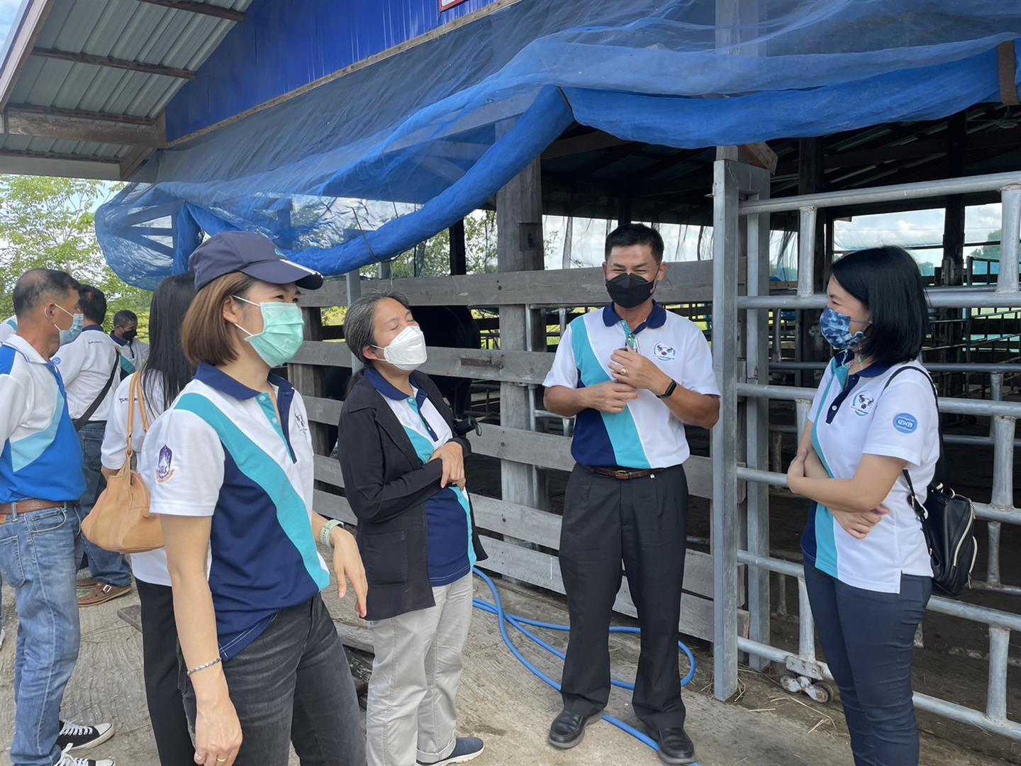 Buffalo farming site visit, University of Phayao