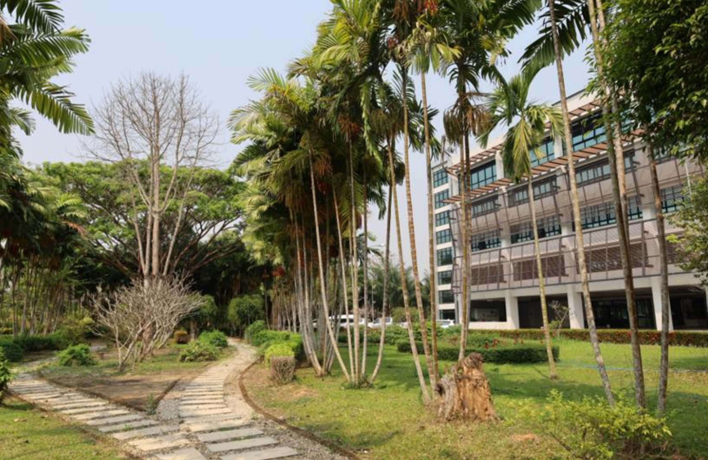 Open space area, Chiang Rai campus