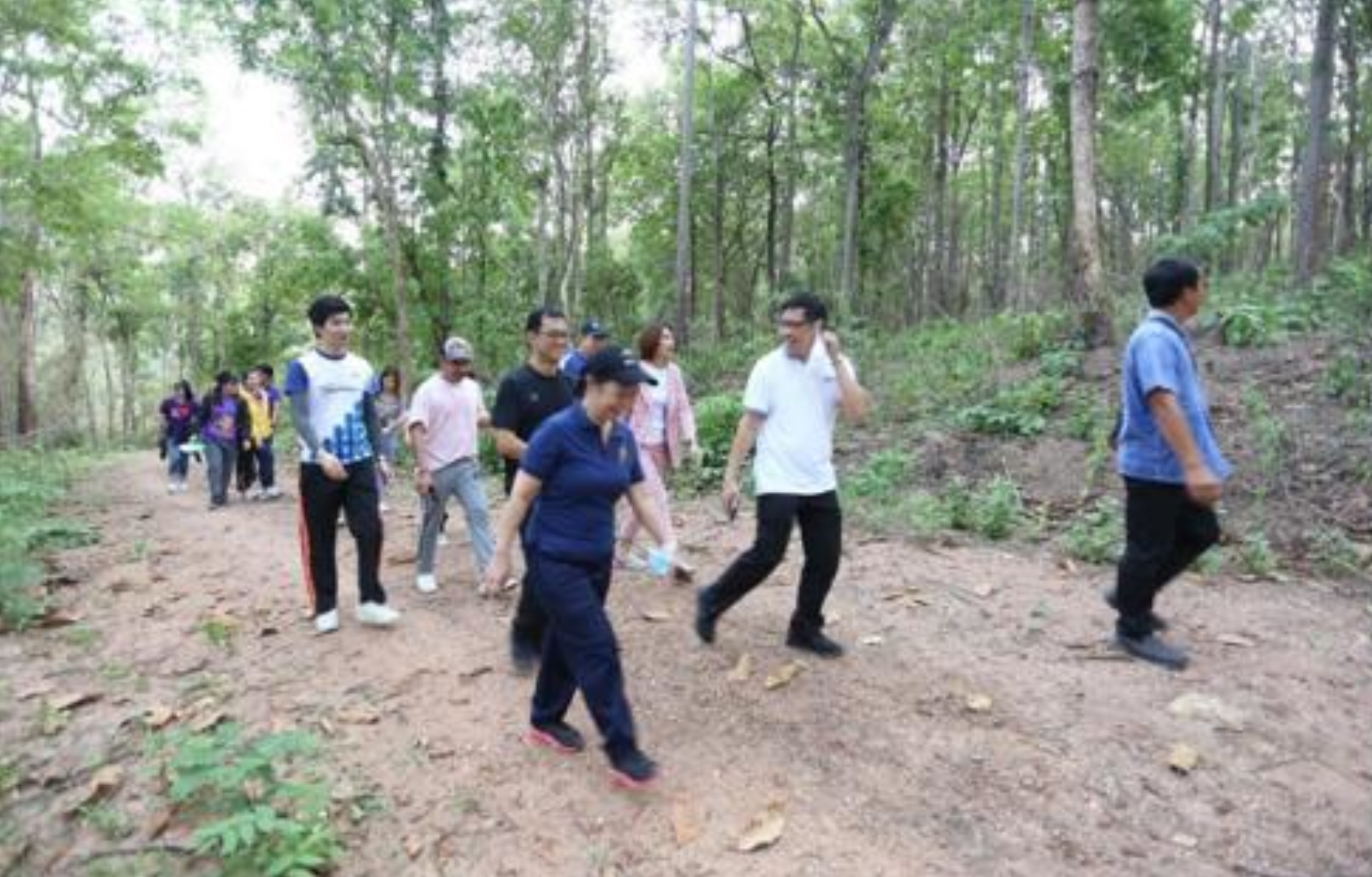 Nature study trail