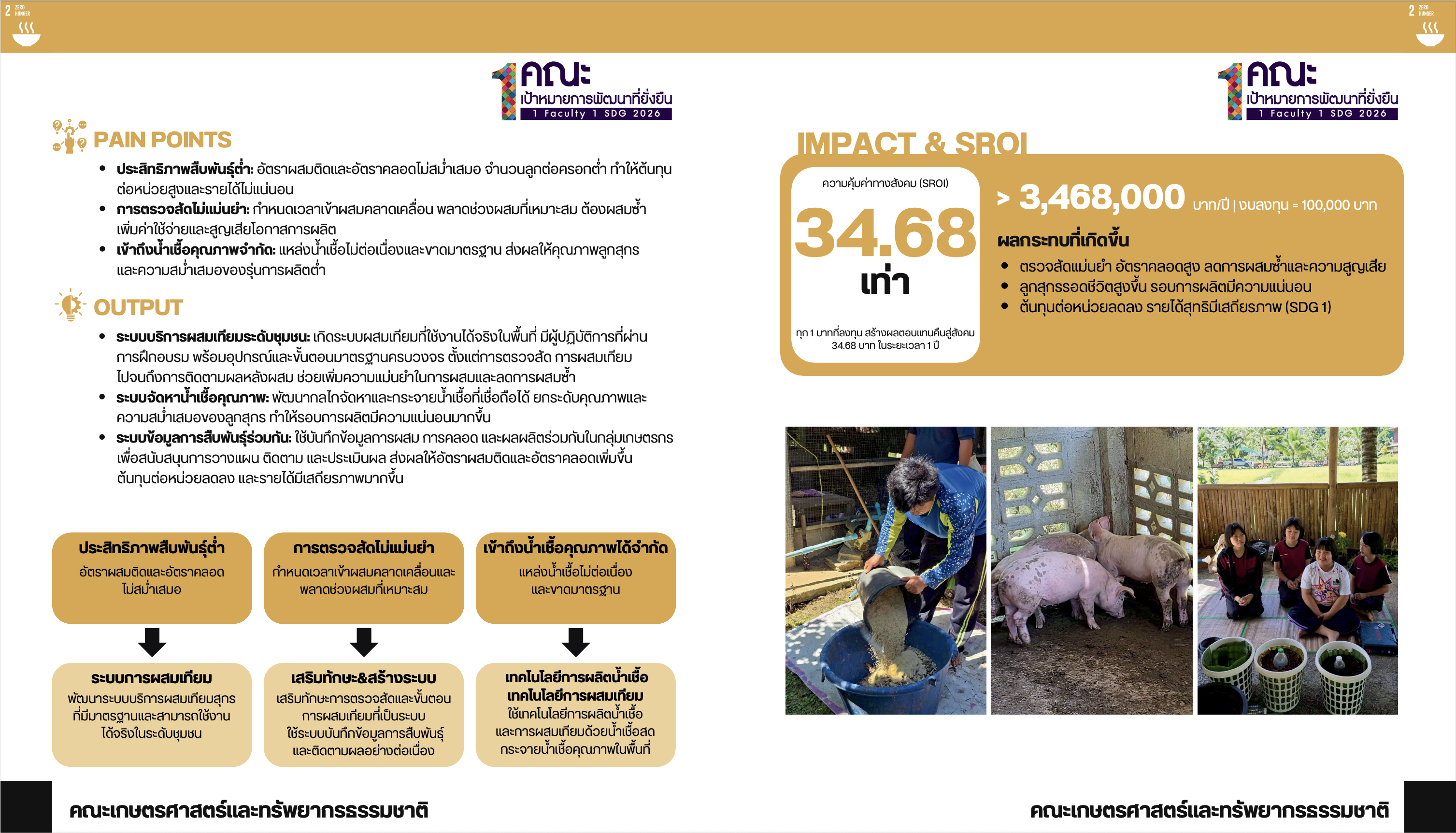 Sustainability research poster on artificial insemination system for swine for smallholder farmers
