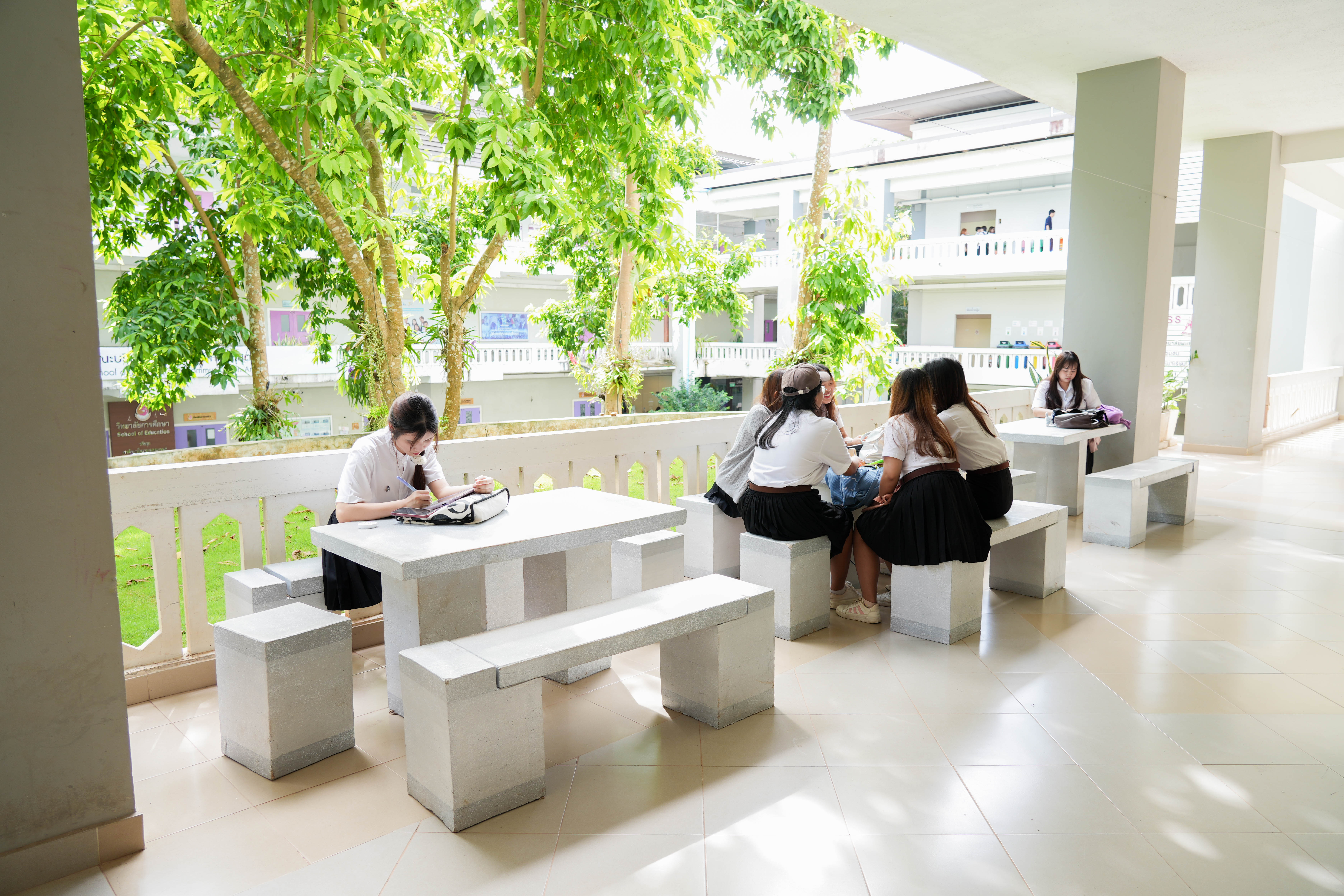 Open space area, Phayao campus