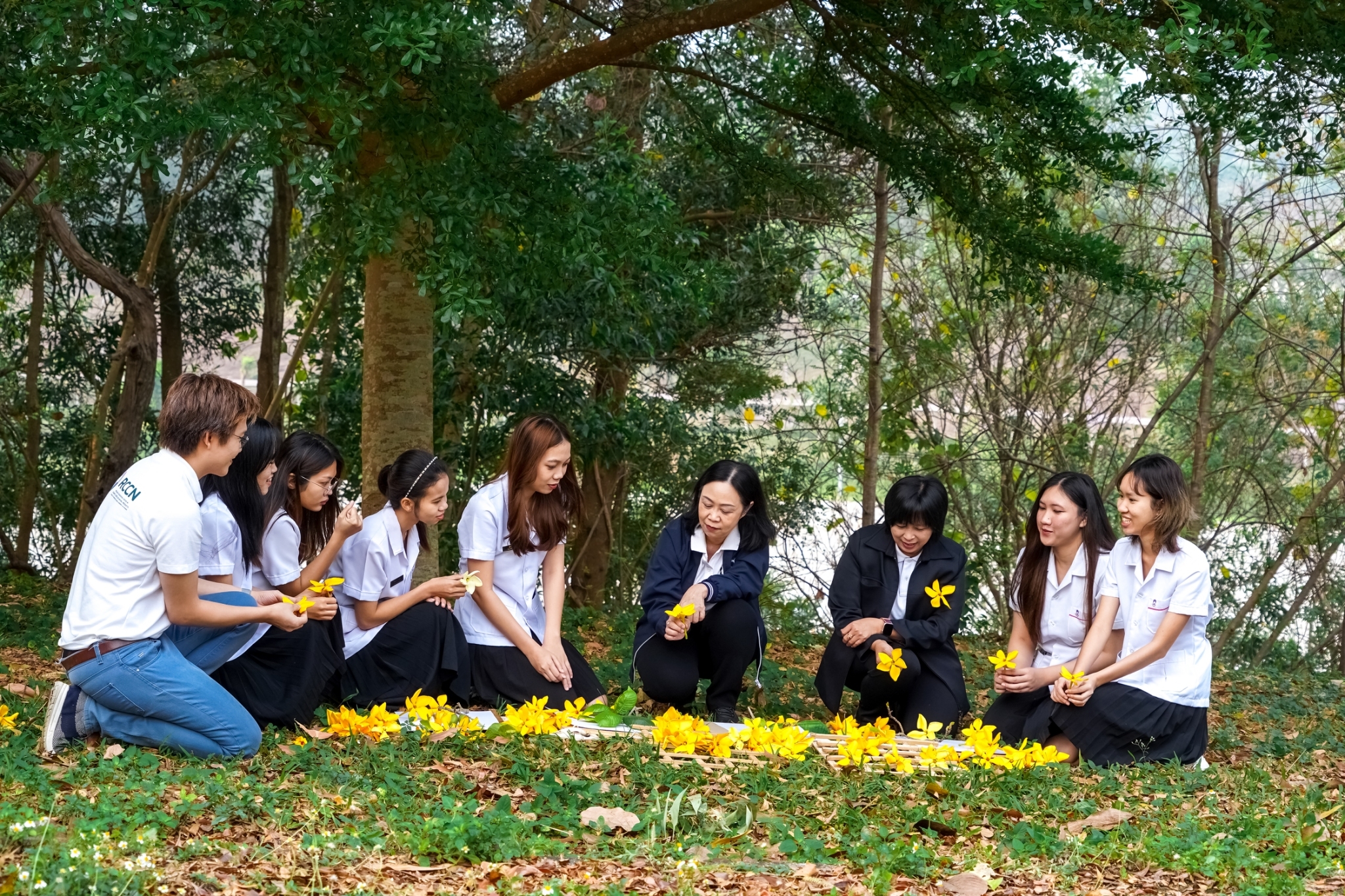 Students and staff collecting Kammok Luang flowers, University of Phayao