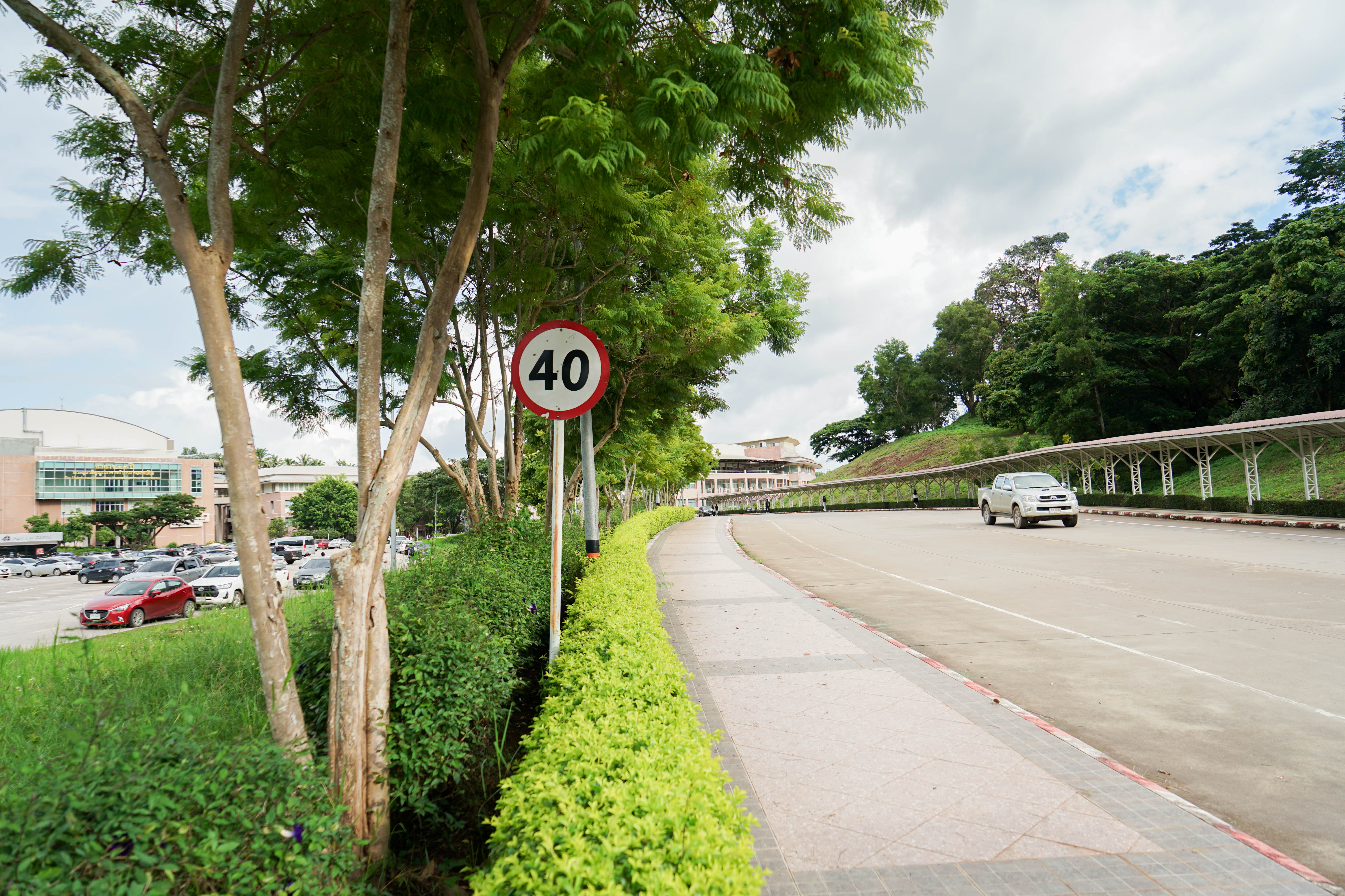 Speed limit signs on campus