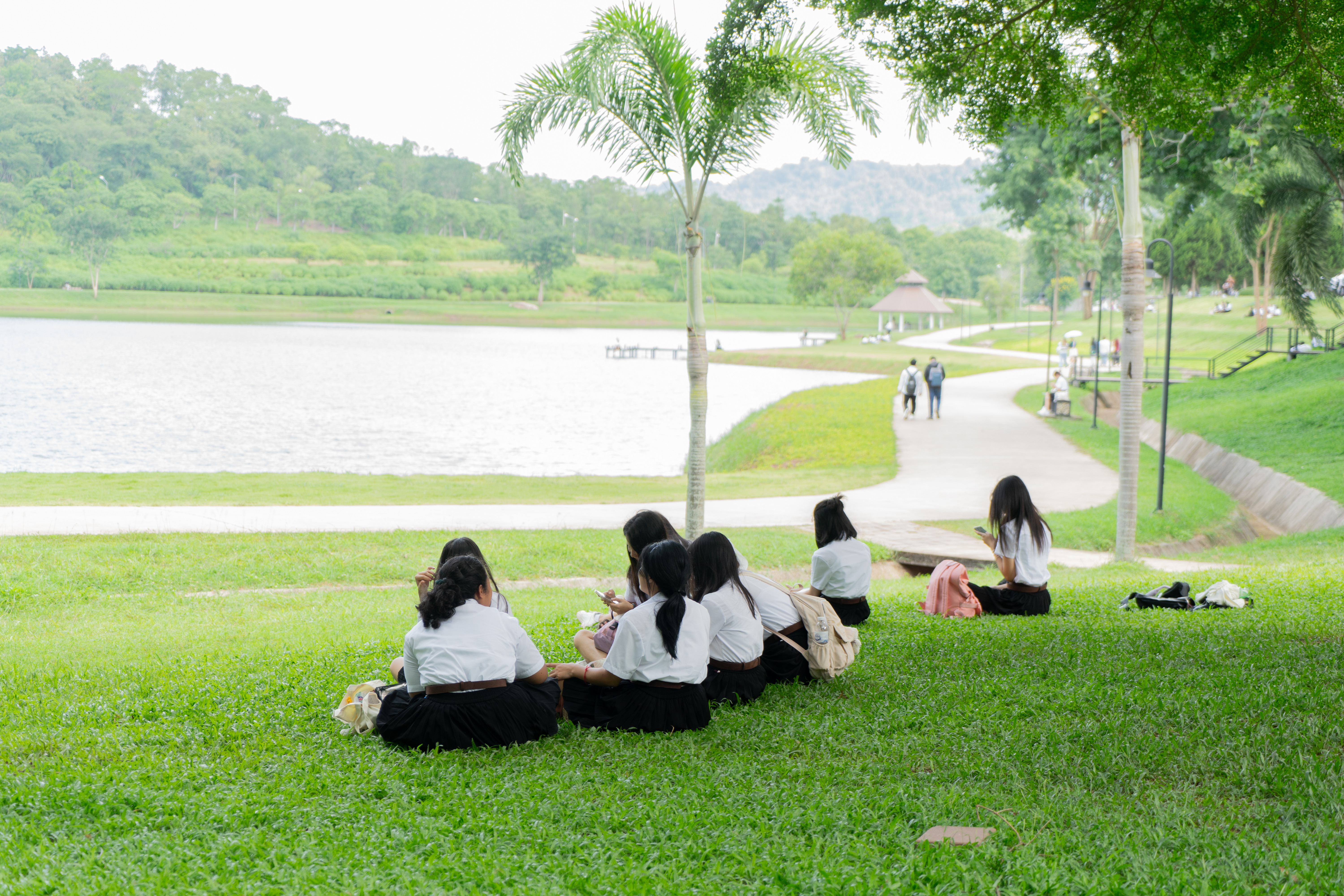 Students sitting on the grass beside the campus lake