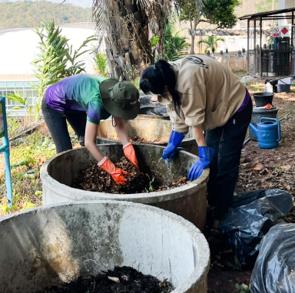 Bio-composting from leaves, twigs and food scraps