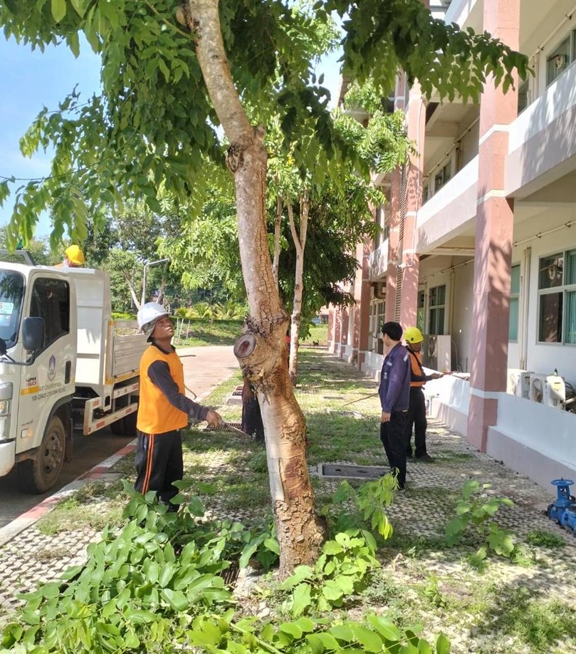 Staff pruning trees near campus building as part of Tree Day activities