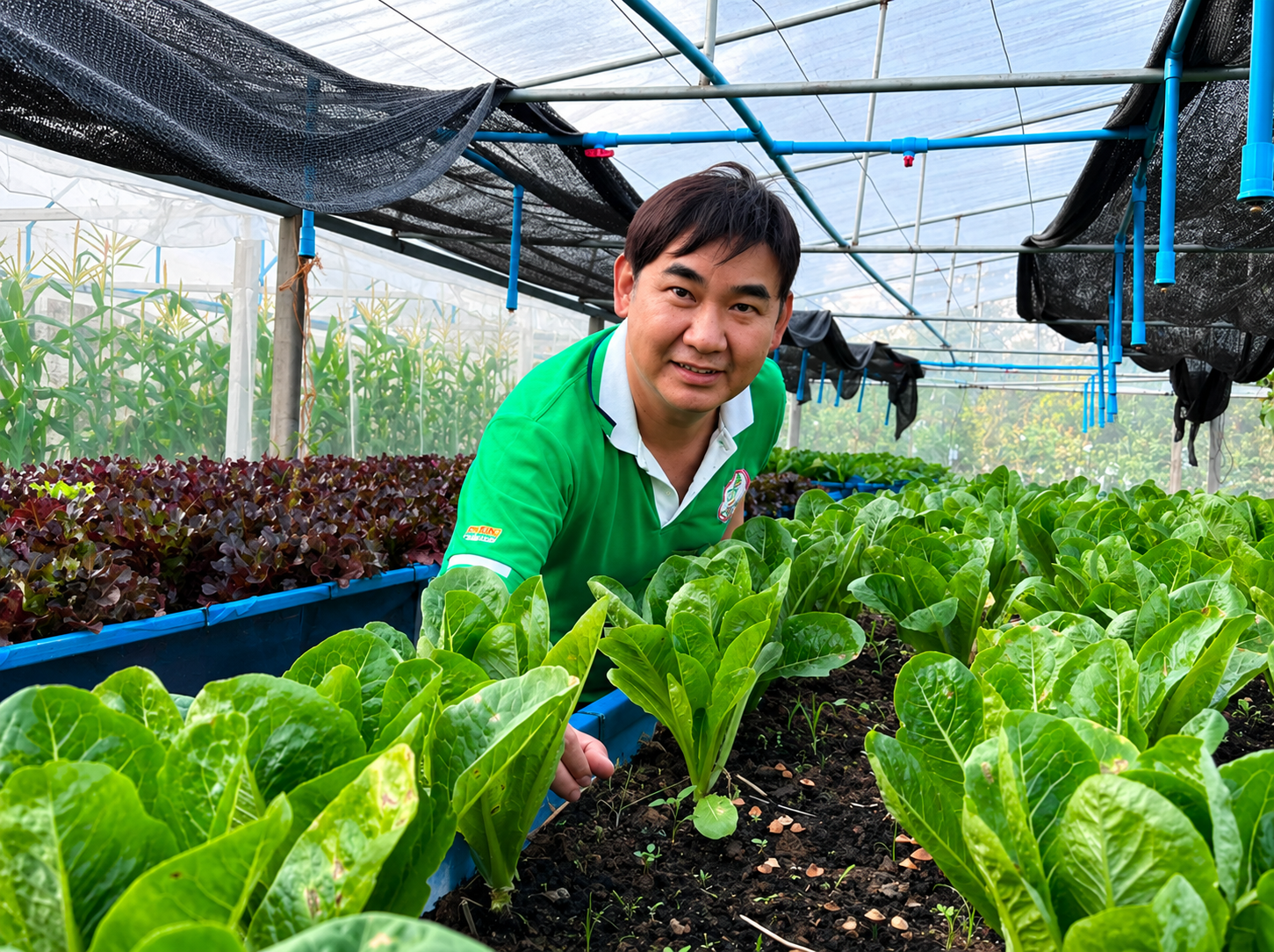 Example of a green and sustainable job by a graduate of University of Phayao