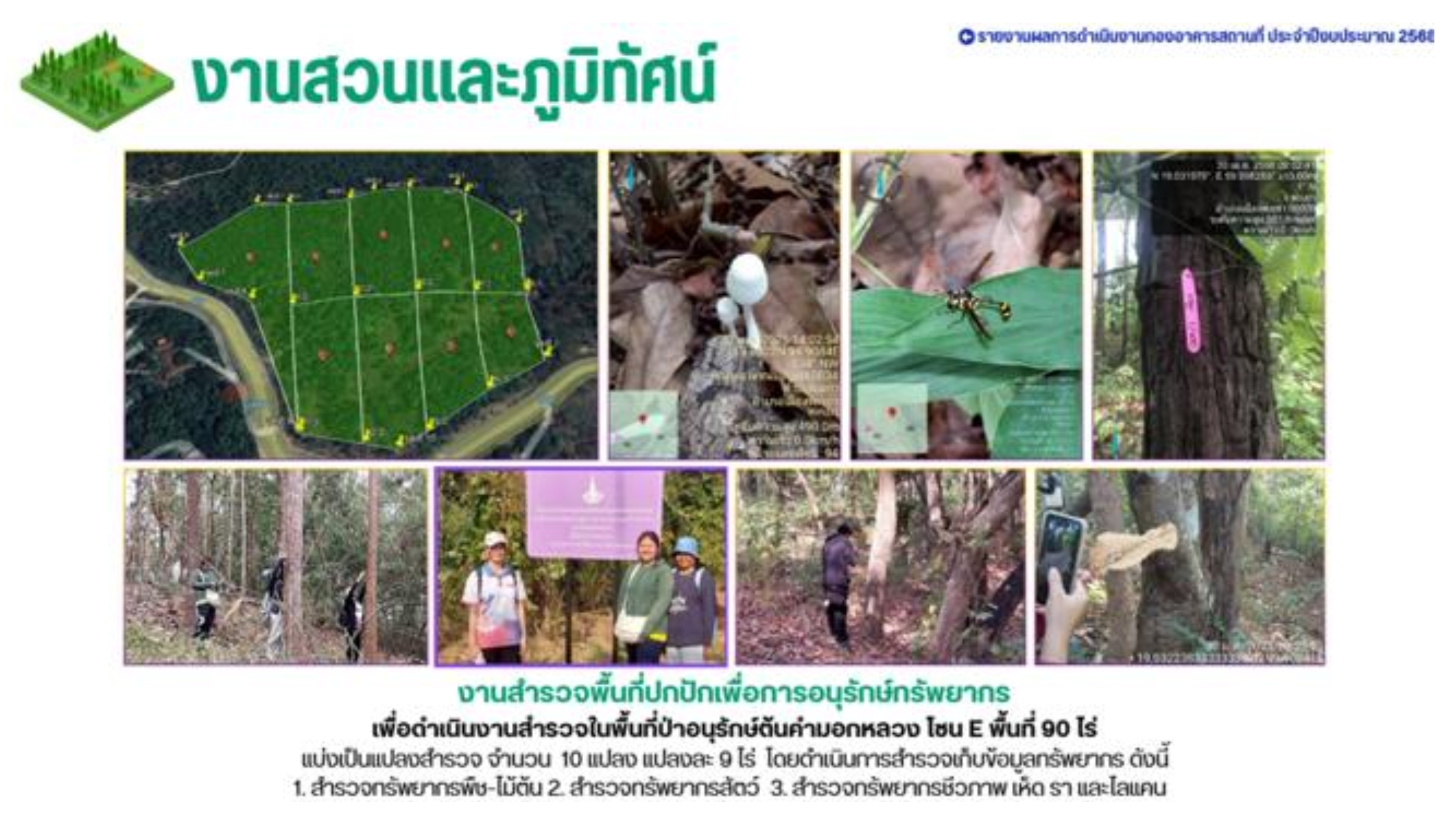 School of Science vegetable planting event, University of Phayao