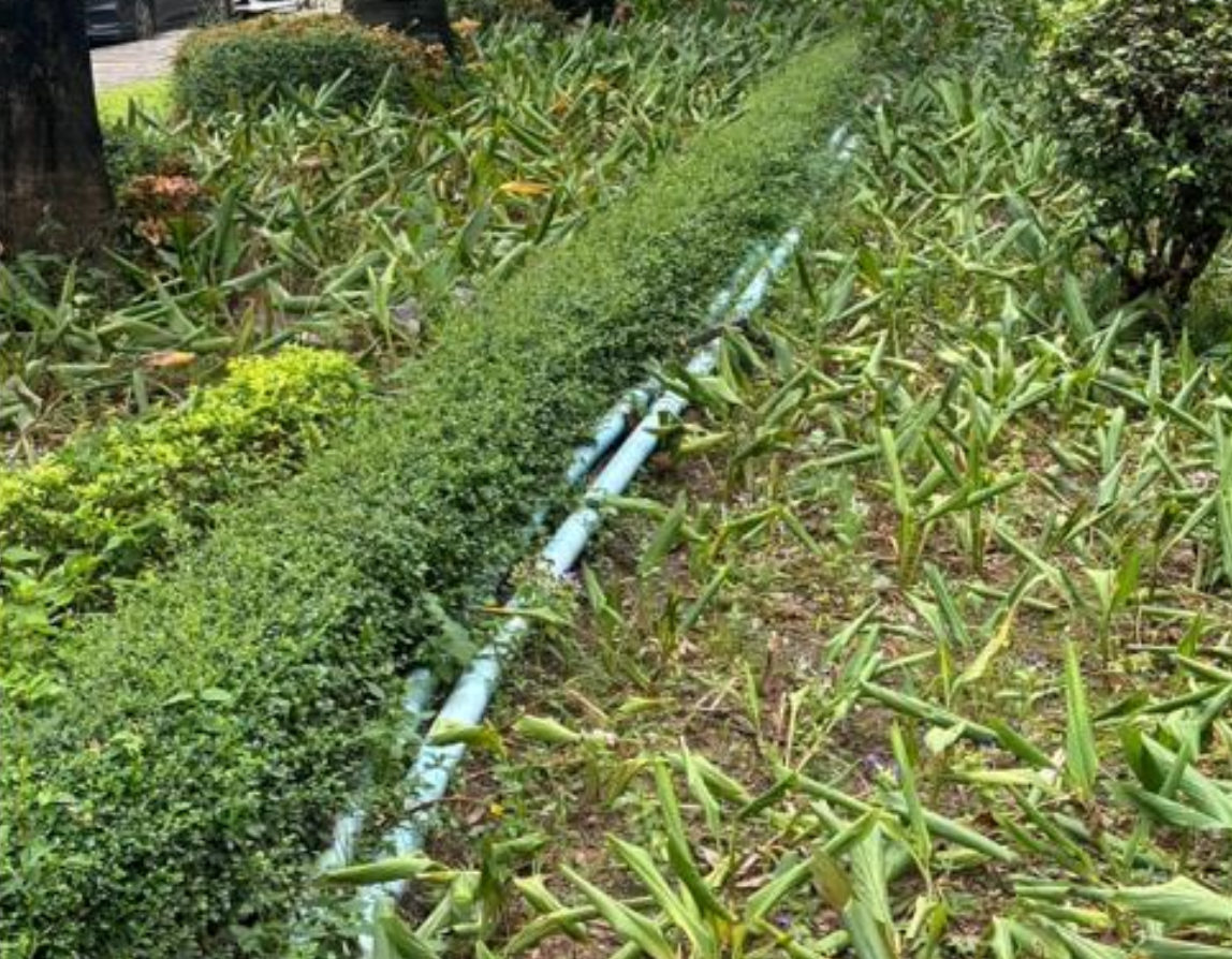 Drip irrigation line installed along a garden bed