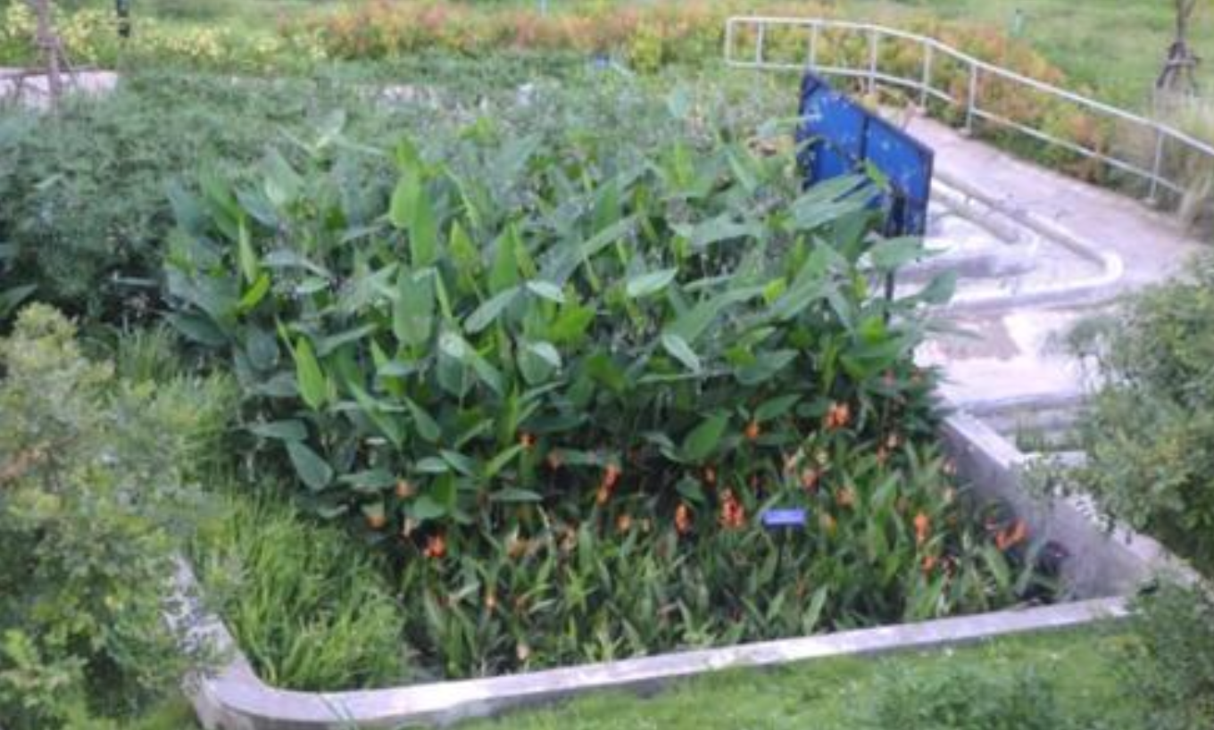 Wastewater treatment system that mimics natural processes