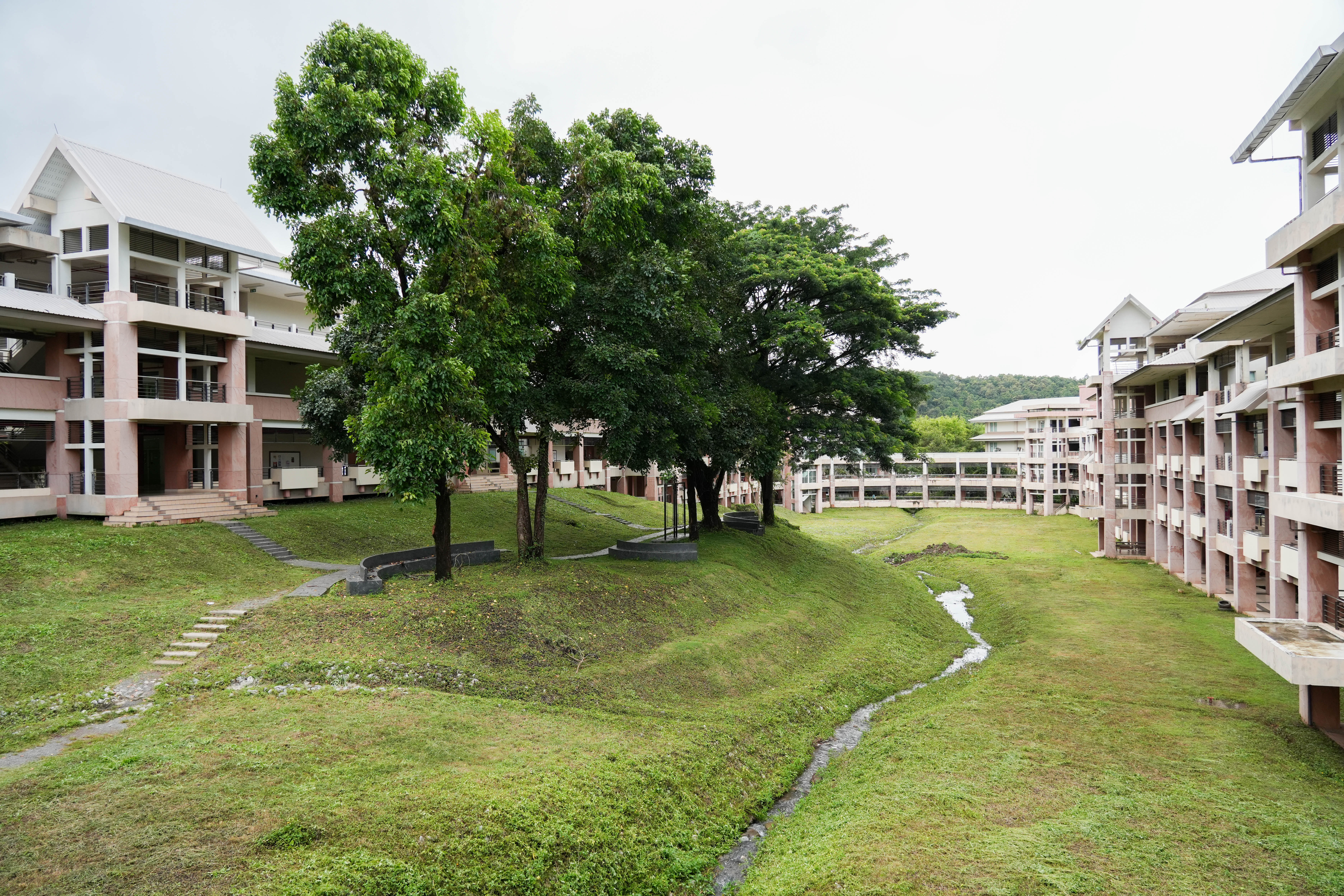 Building courtyard with tree