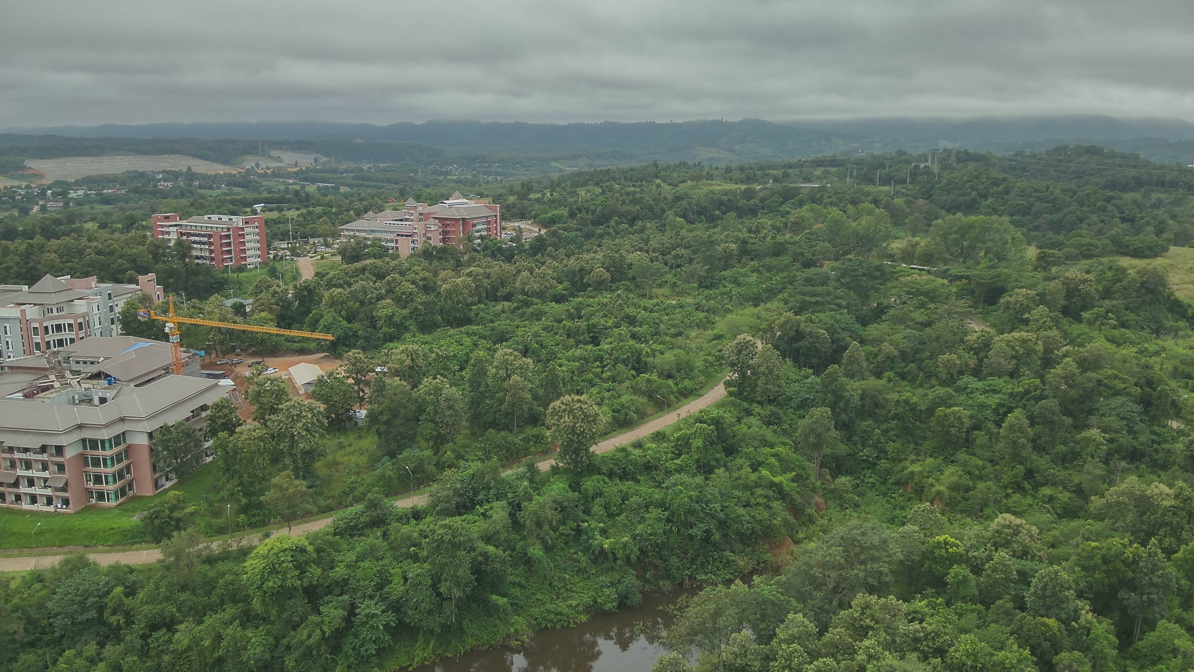 Total area on University of Phayao Phayao Campus covered in forest vegetation