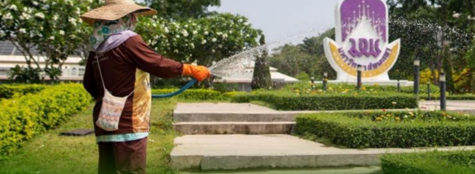 Sprinkler using treated water to water plants on campus