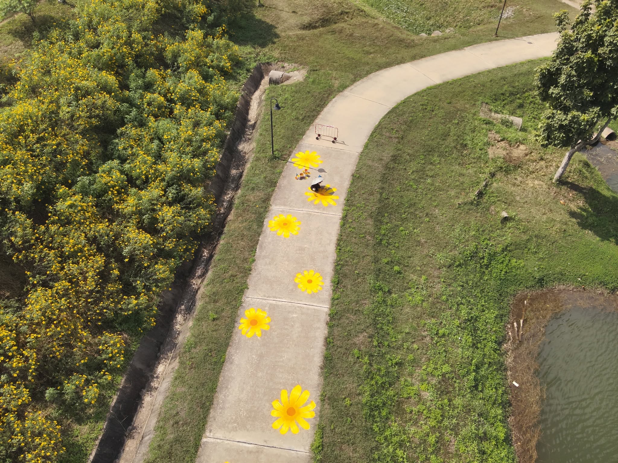 Nature trails