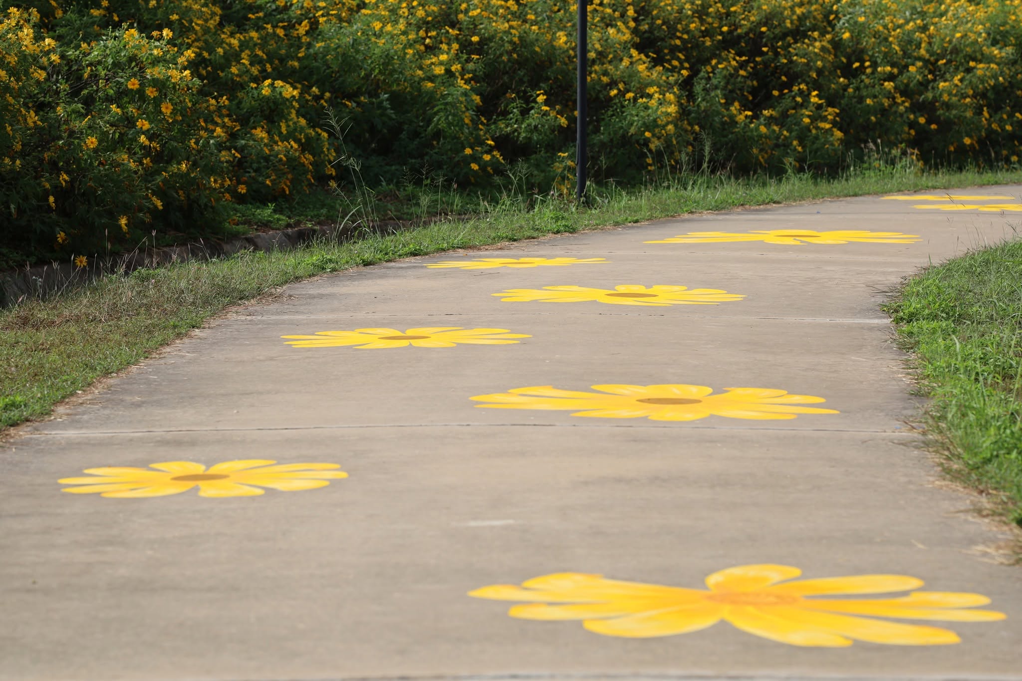Nature trails