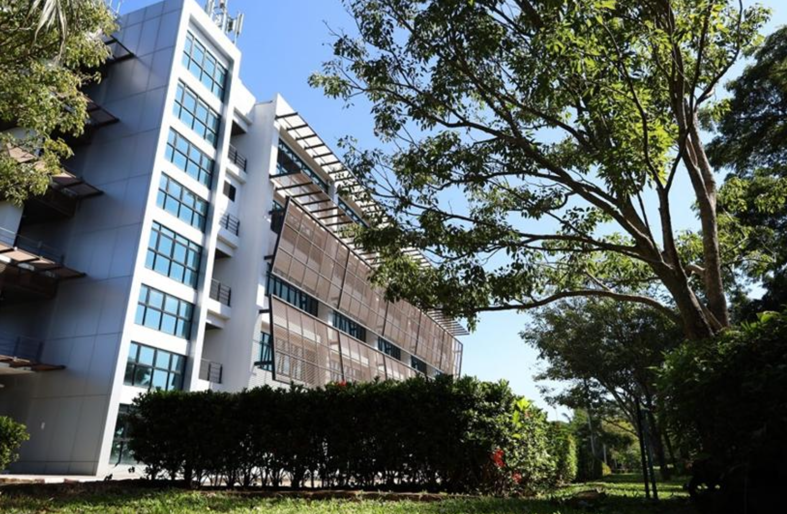 Open space area, Chiang Rai campus
