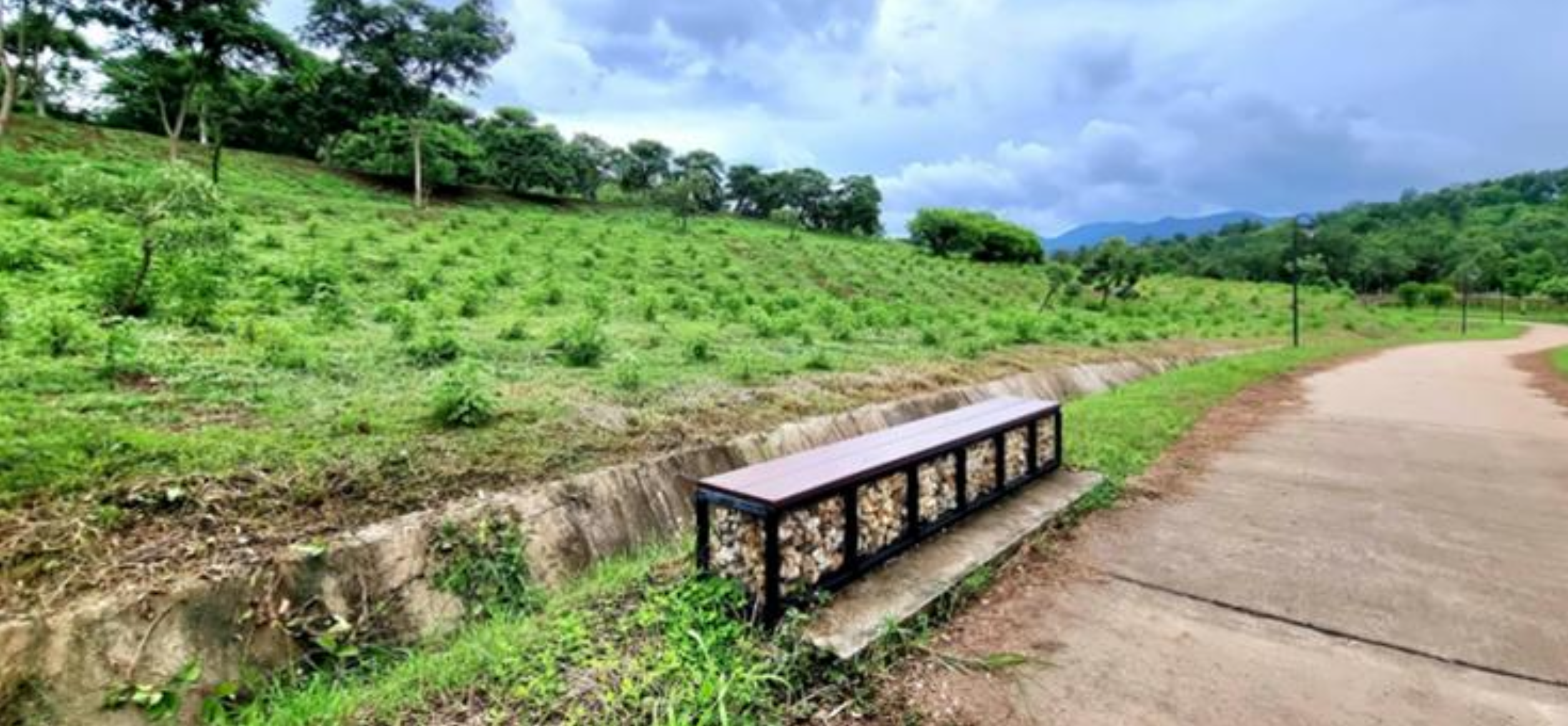 Planted hillside with a bench and walking path channeling rainwater into the drainage system