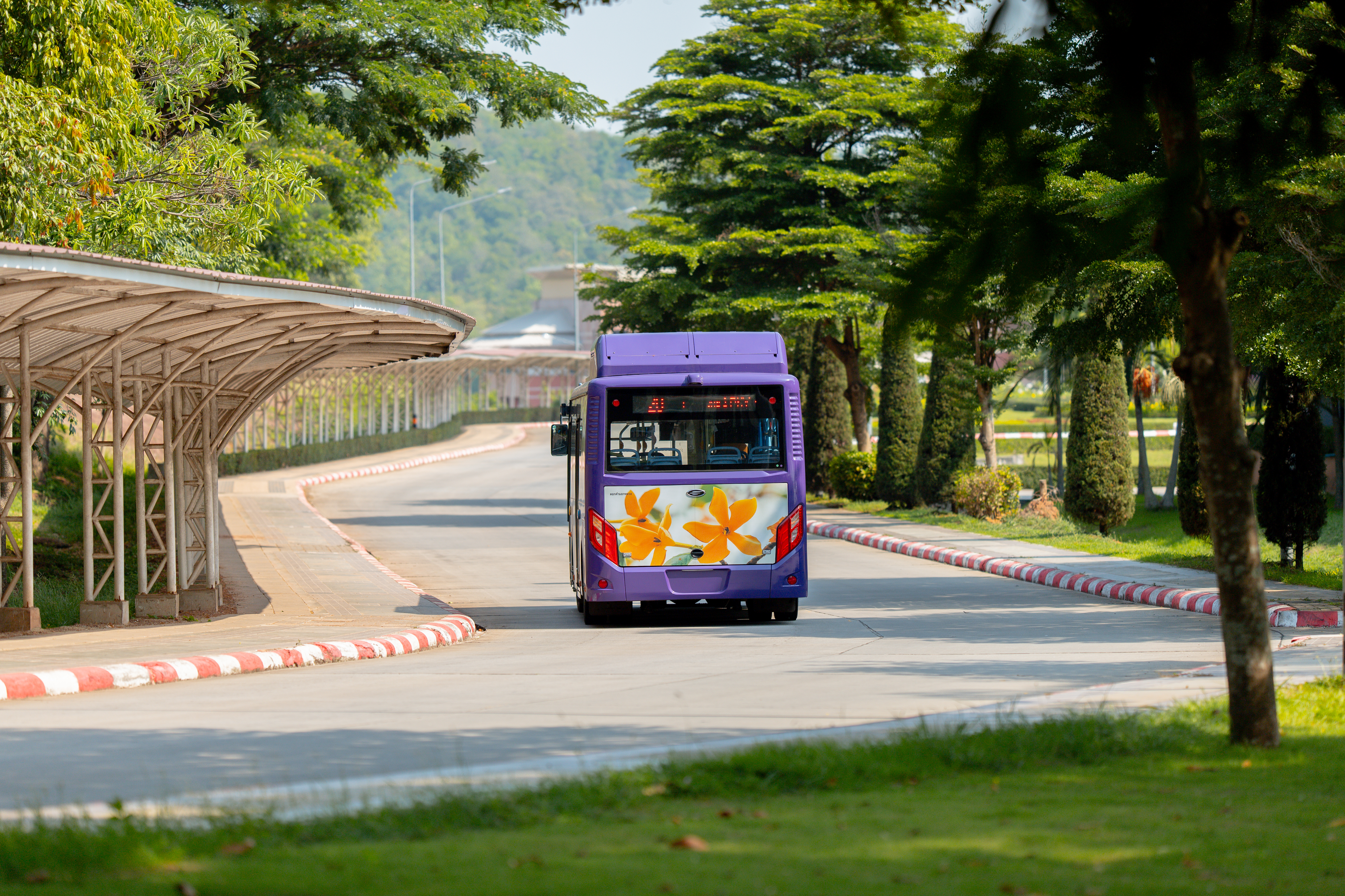 Open space area, Phayao campus