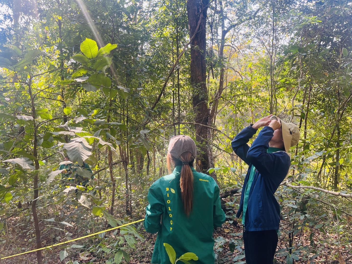 Students surveying trees in the Mae Na Ruea watershed forest area