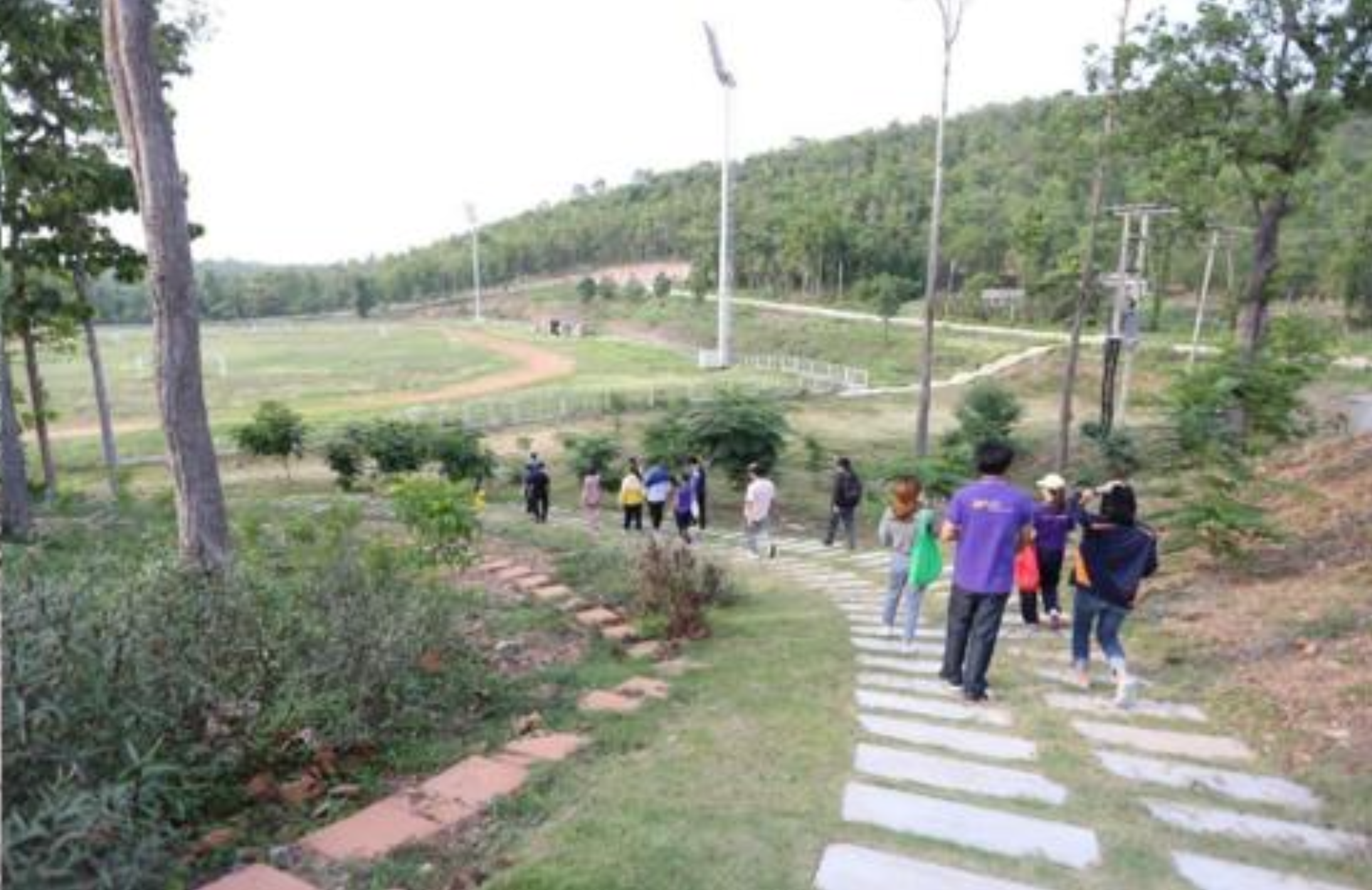 Nature study trail
