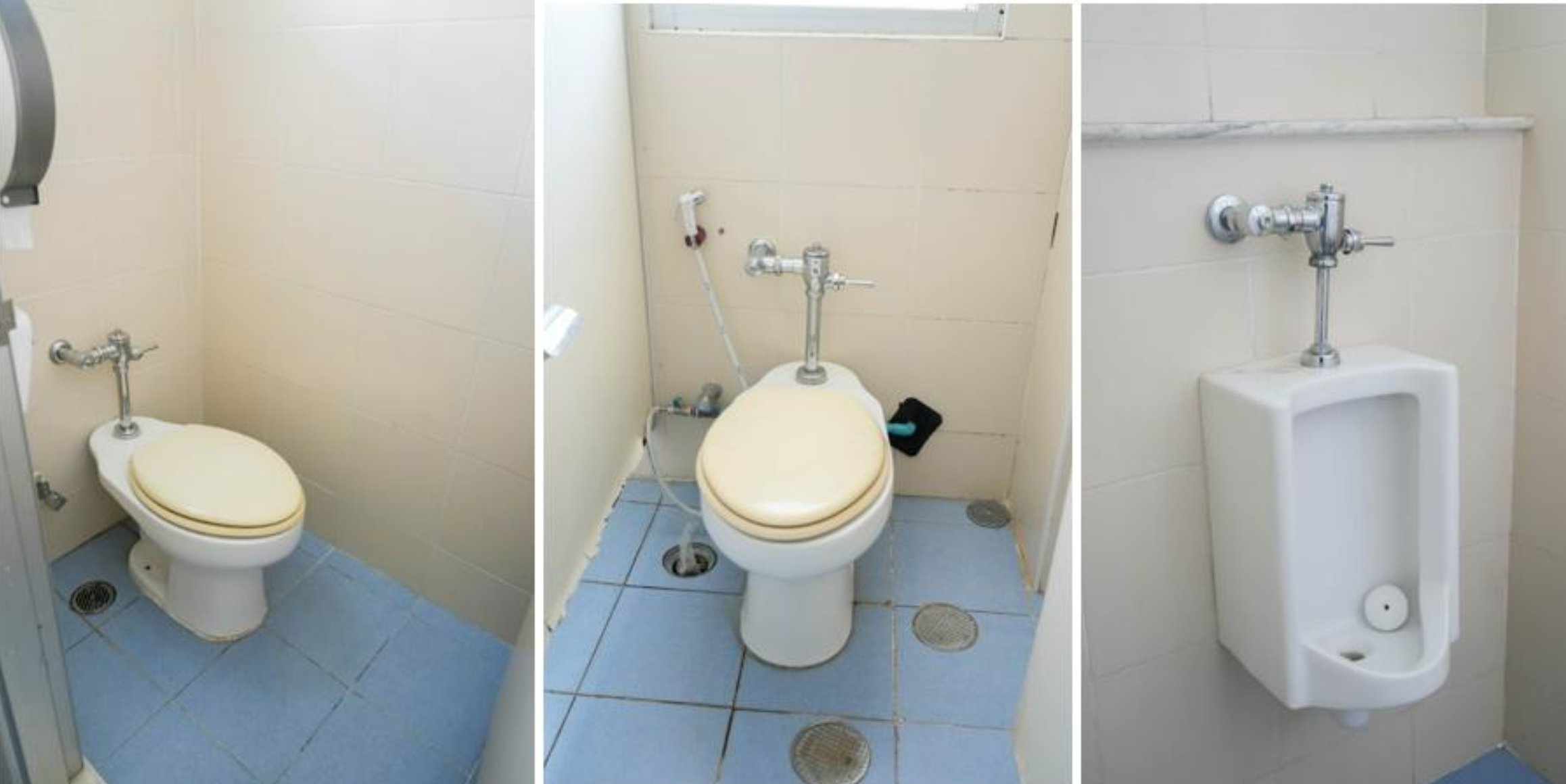 Toilet with a flush valve system