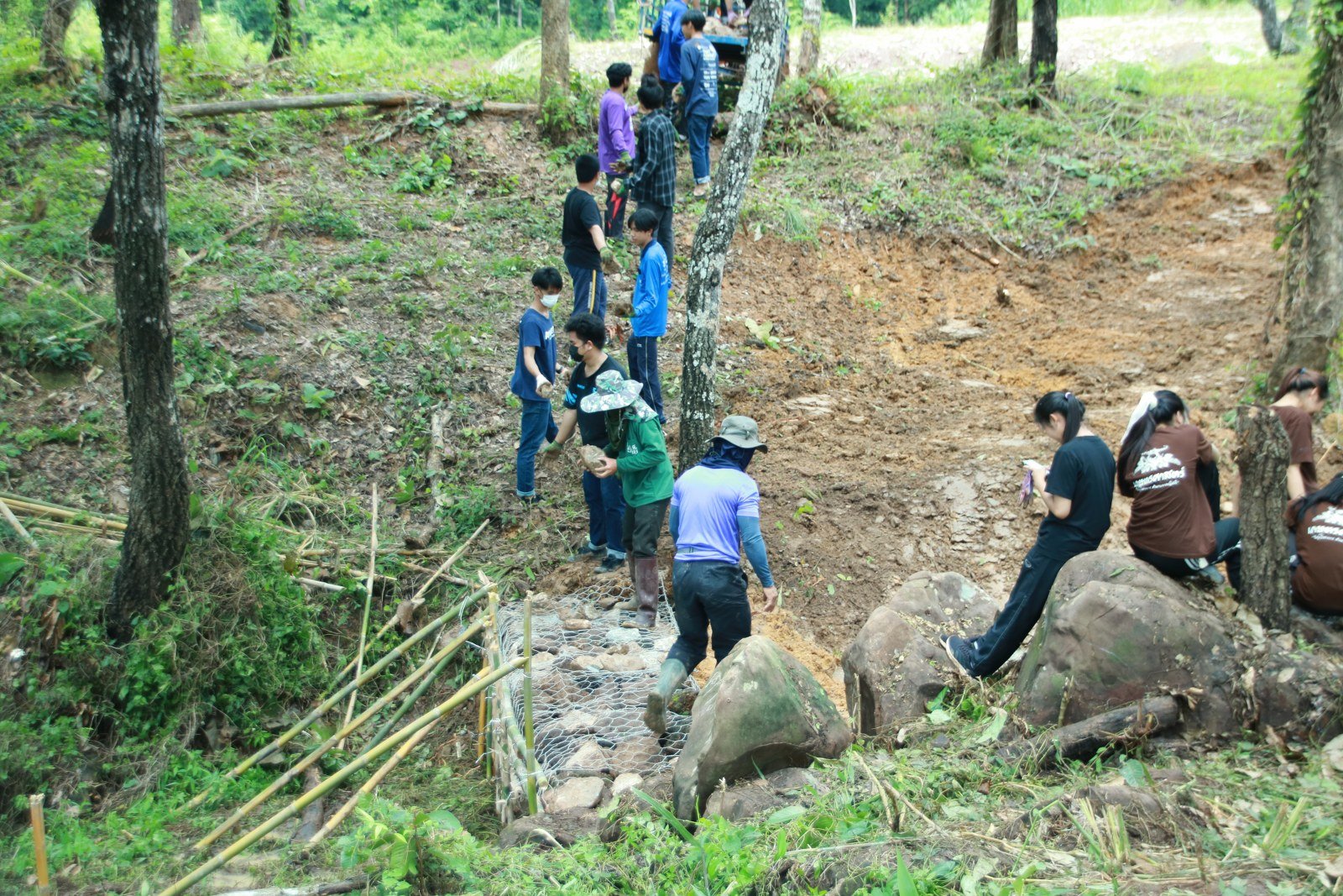 Volunteers carrying stones to construct a check dam