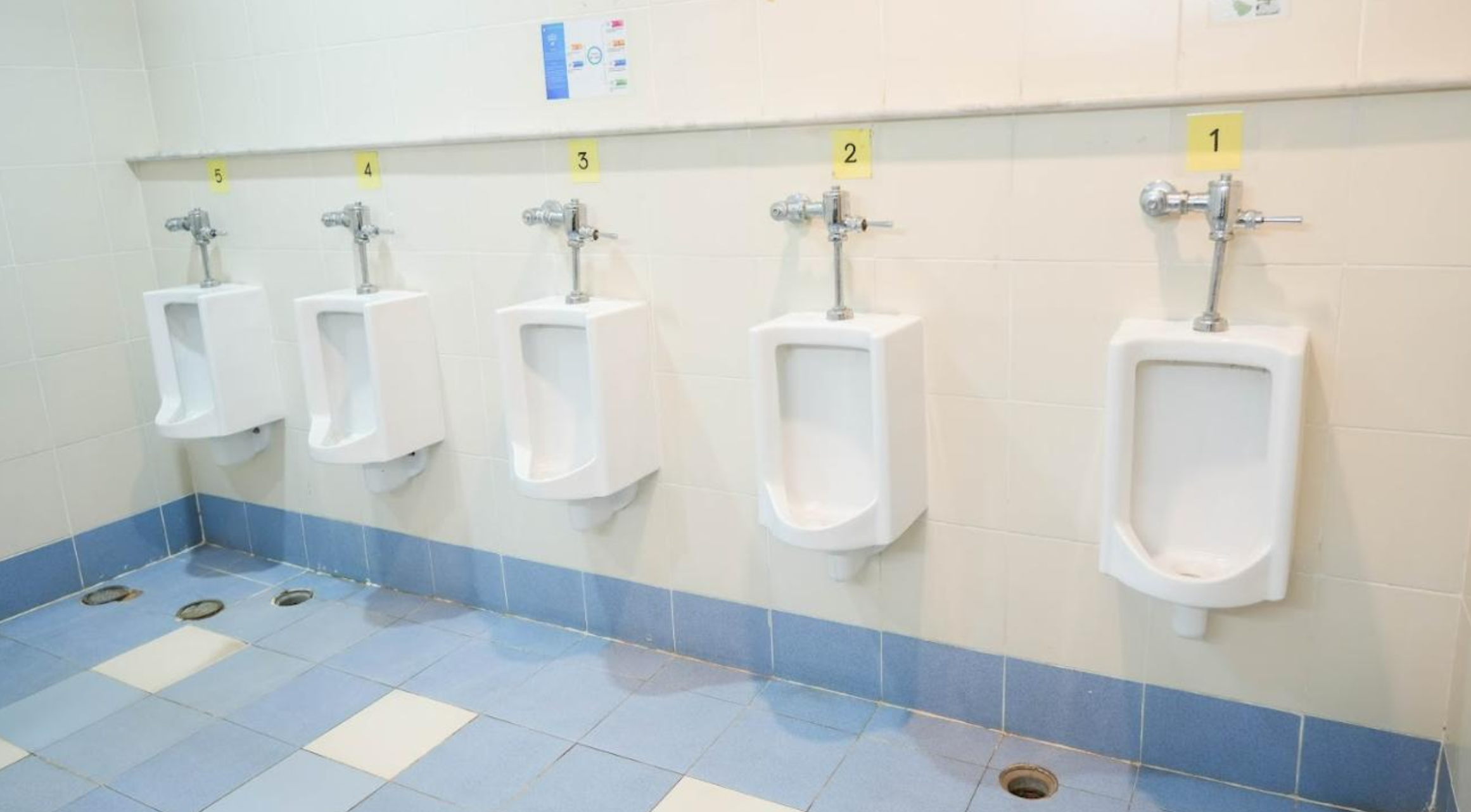 Row of five numbered urinals with flush valves