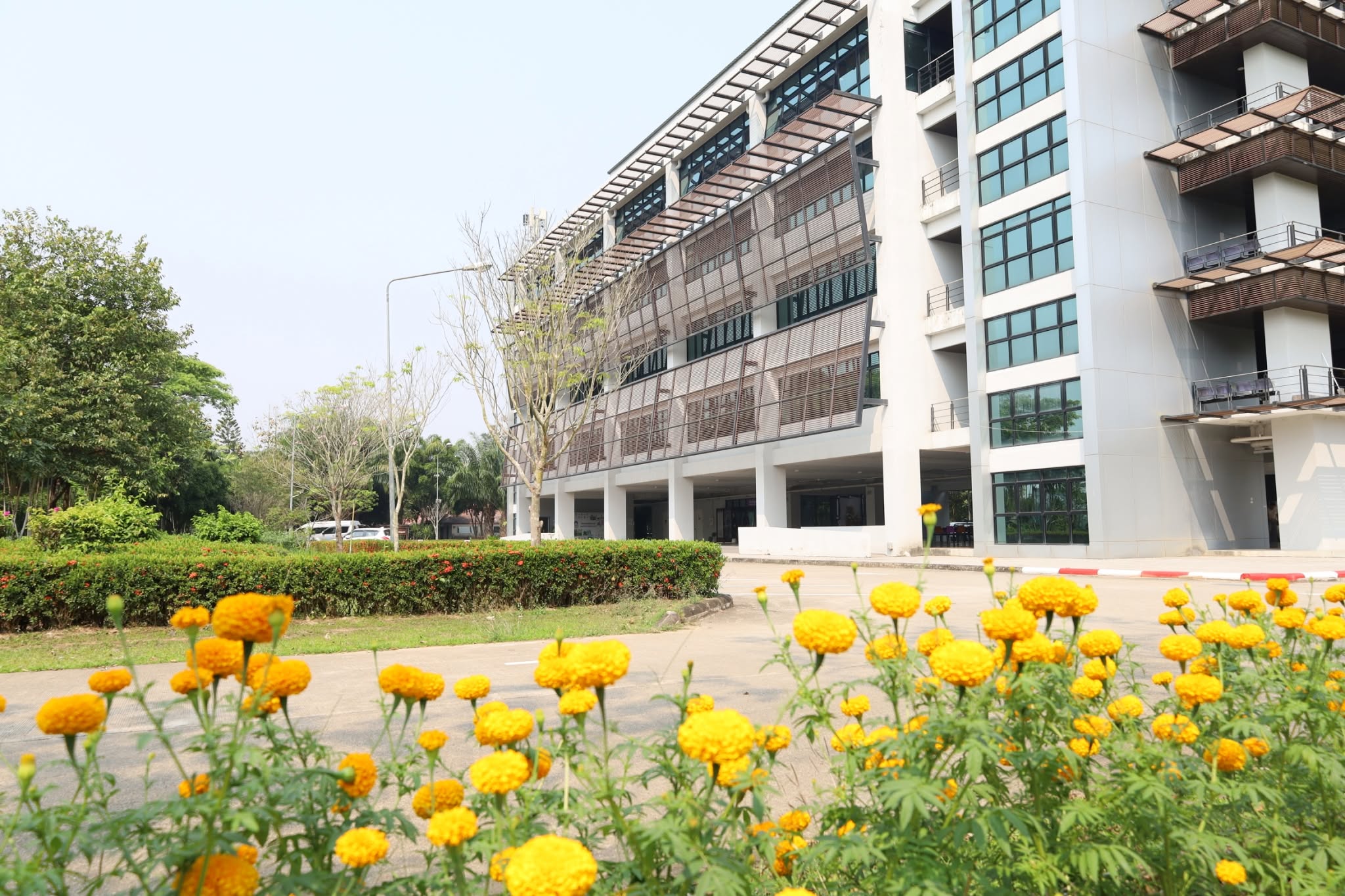 Chiang Rai Campus (University of Phayao, Thailand)