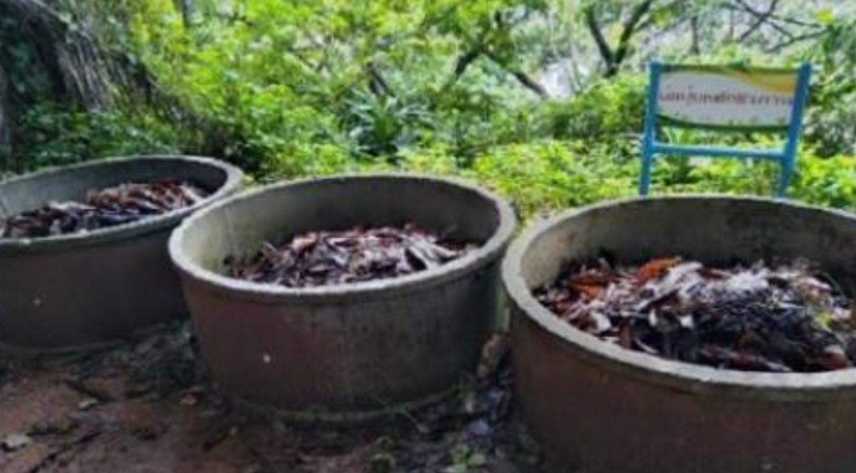 Bio-composting from leaves, twigs and food scraps
